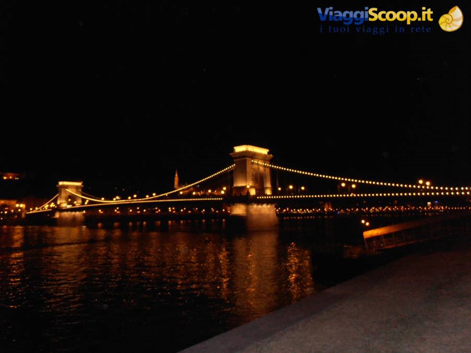 veduta notturna del ponte delle catene