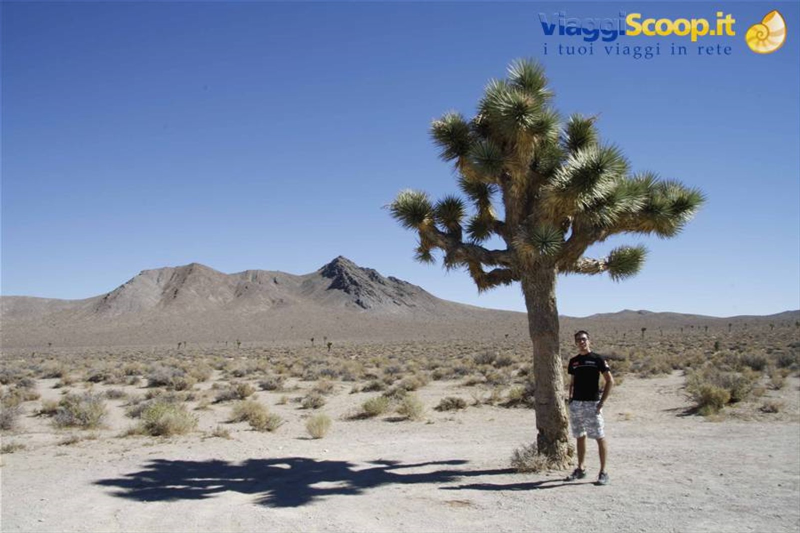 Foto di viaggio in STATI UNITI D'AMERICA