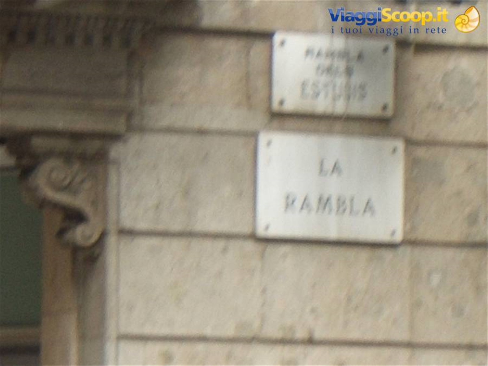 Foto di viaggio in SPAGNA