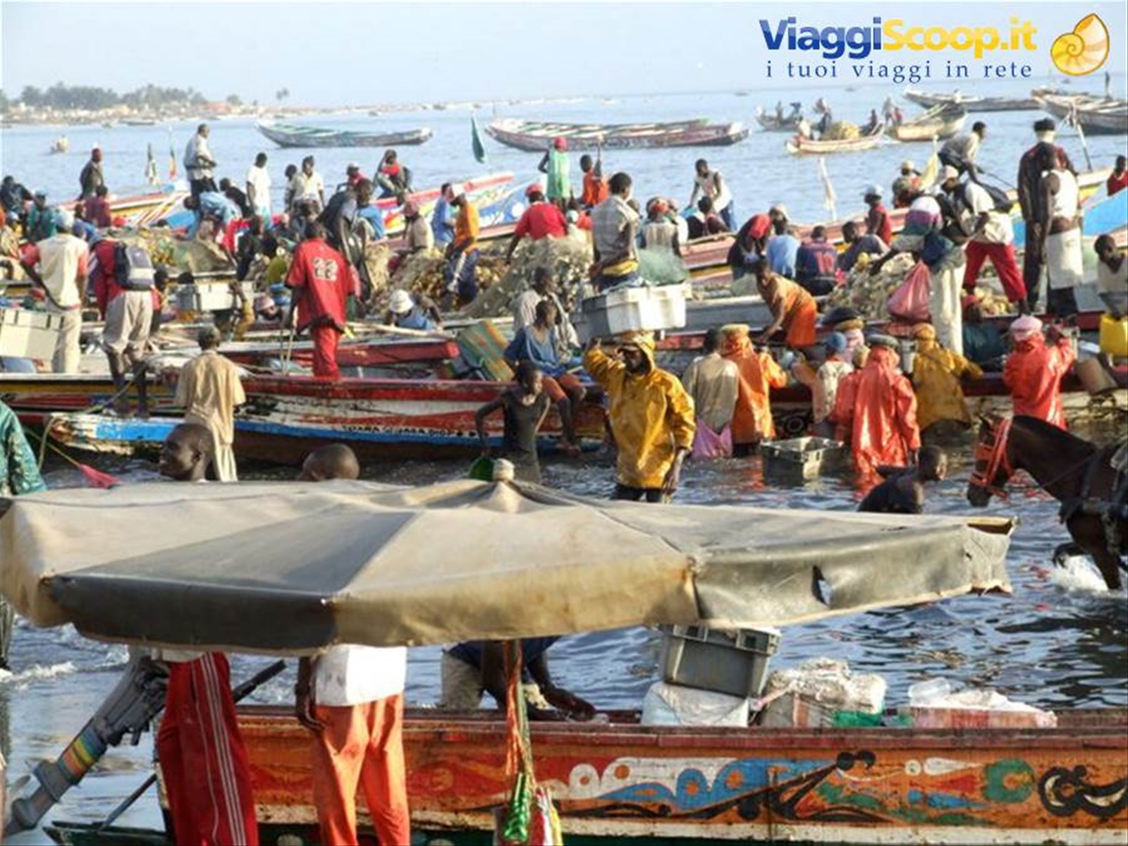 Foto di viaggio in SENEGAL
