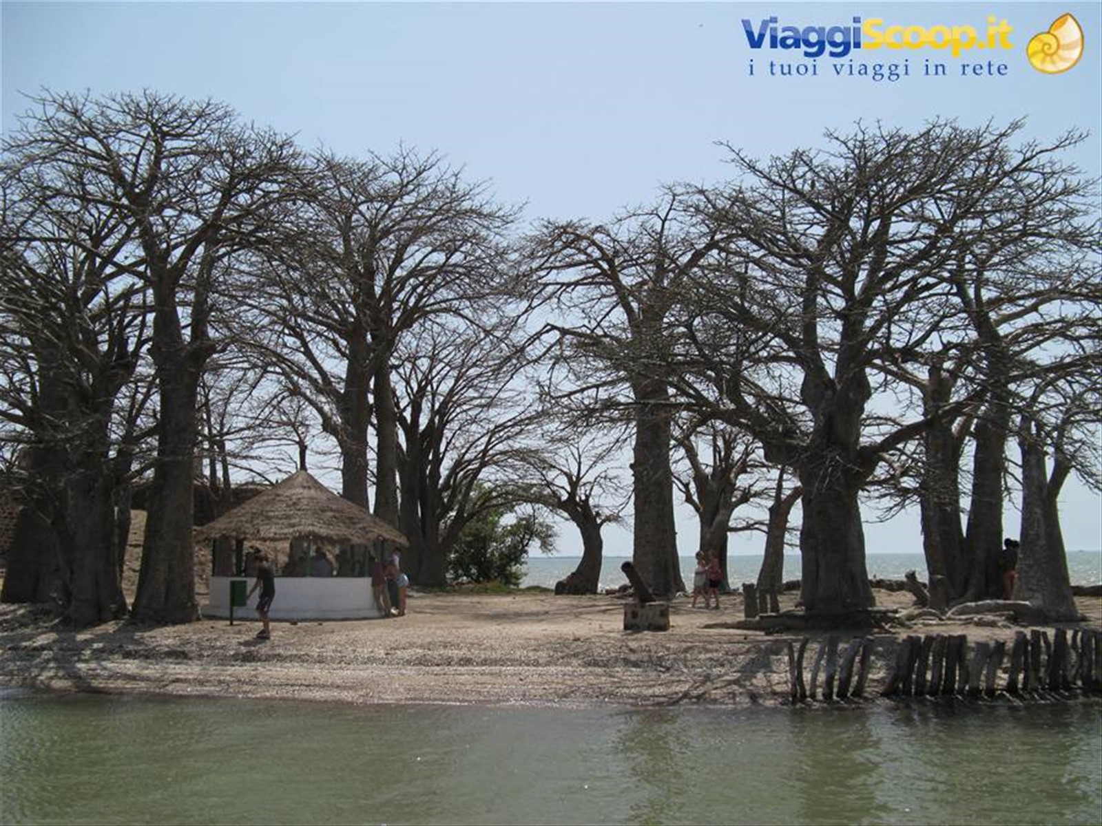 Foto di viaggio in SENEGAL
