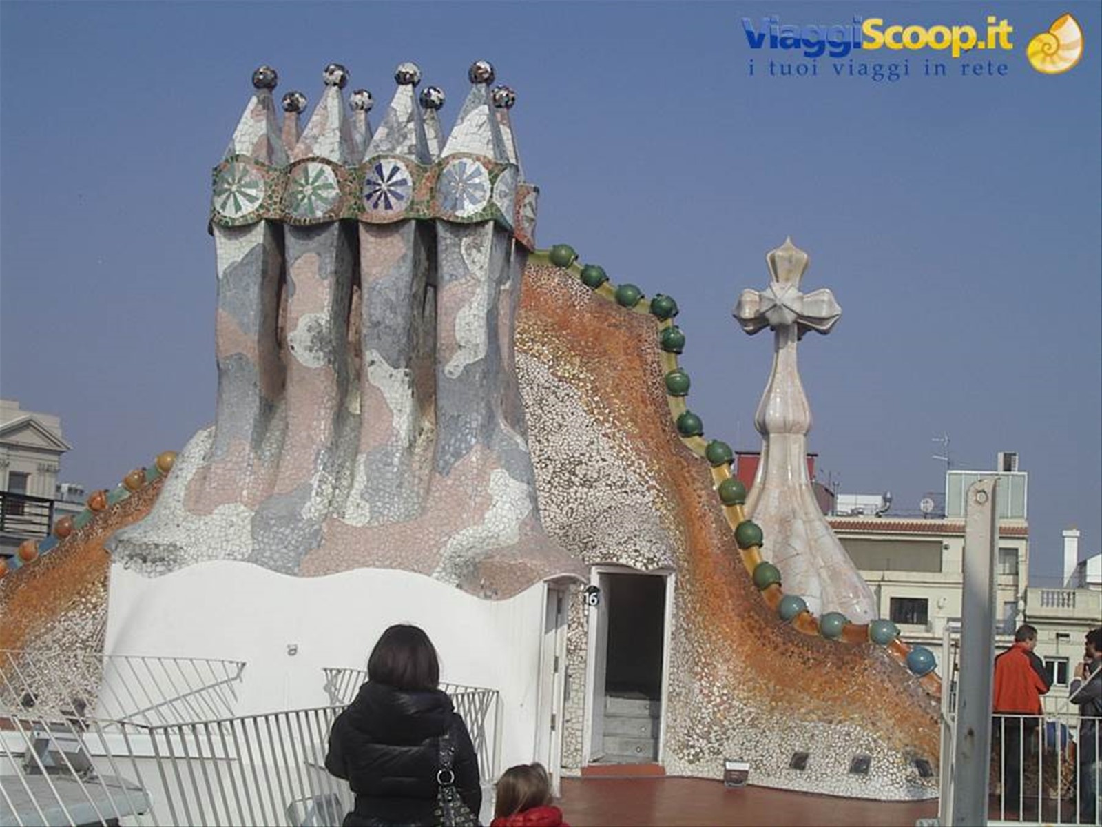 Casa Batllò ..... il tetto !!!