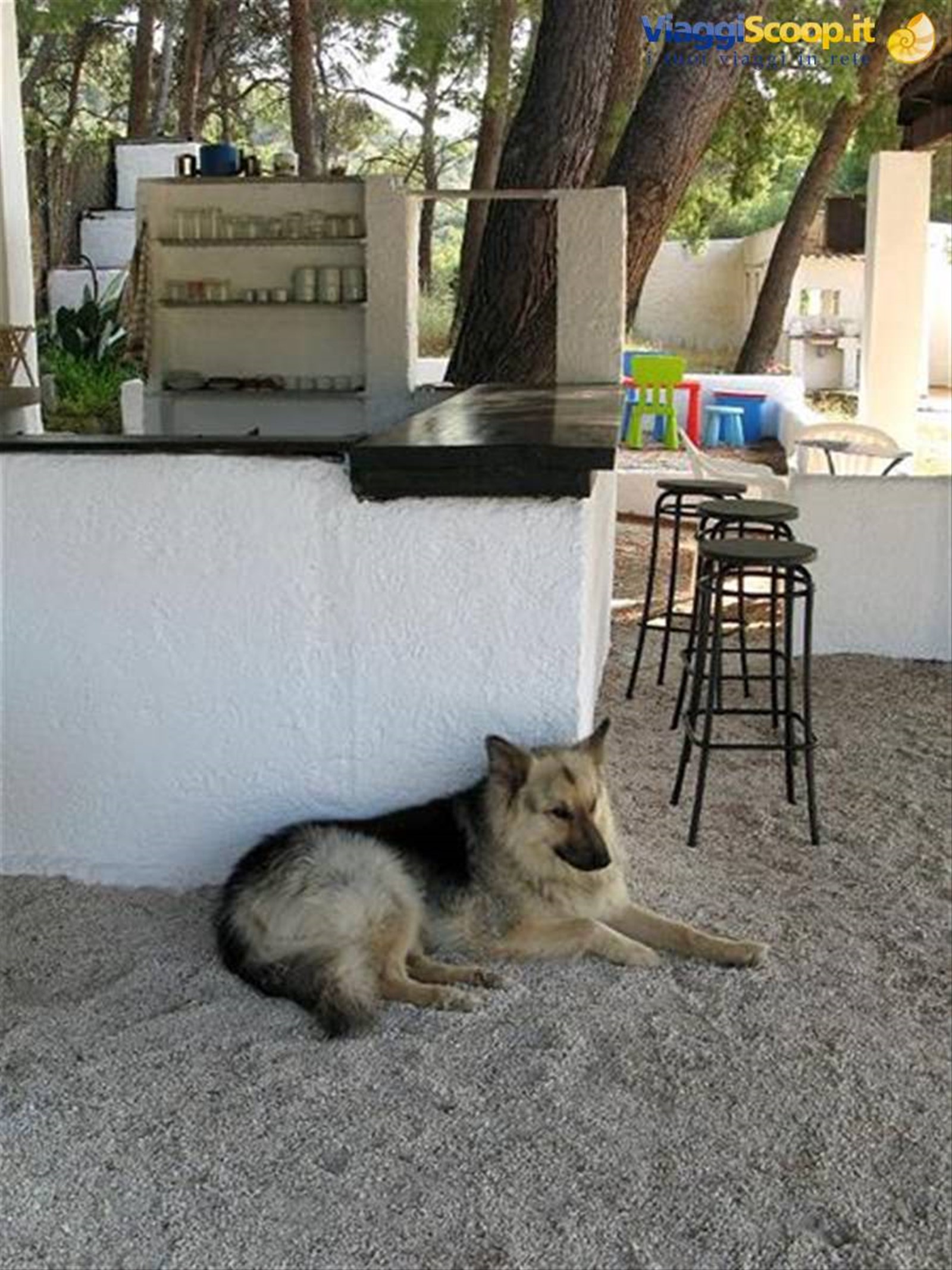 bar