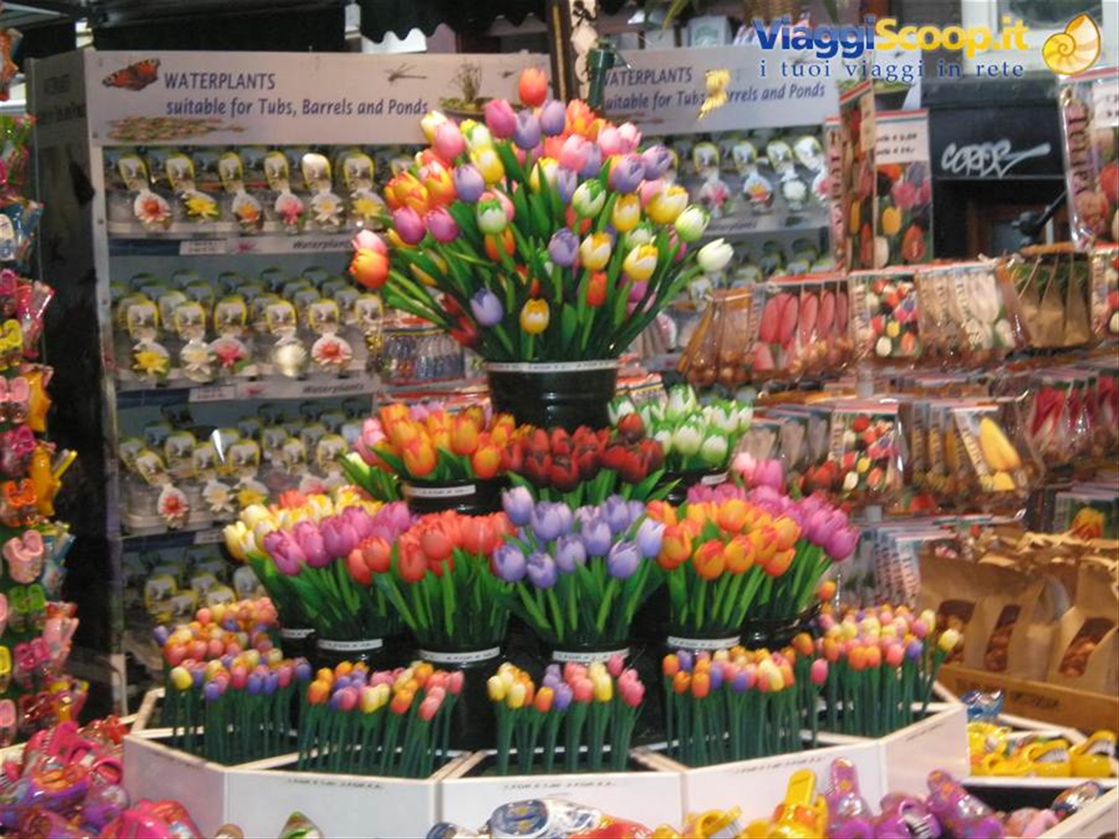 mercato dei fiori