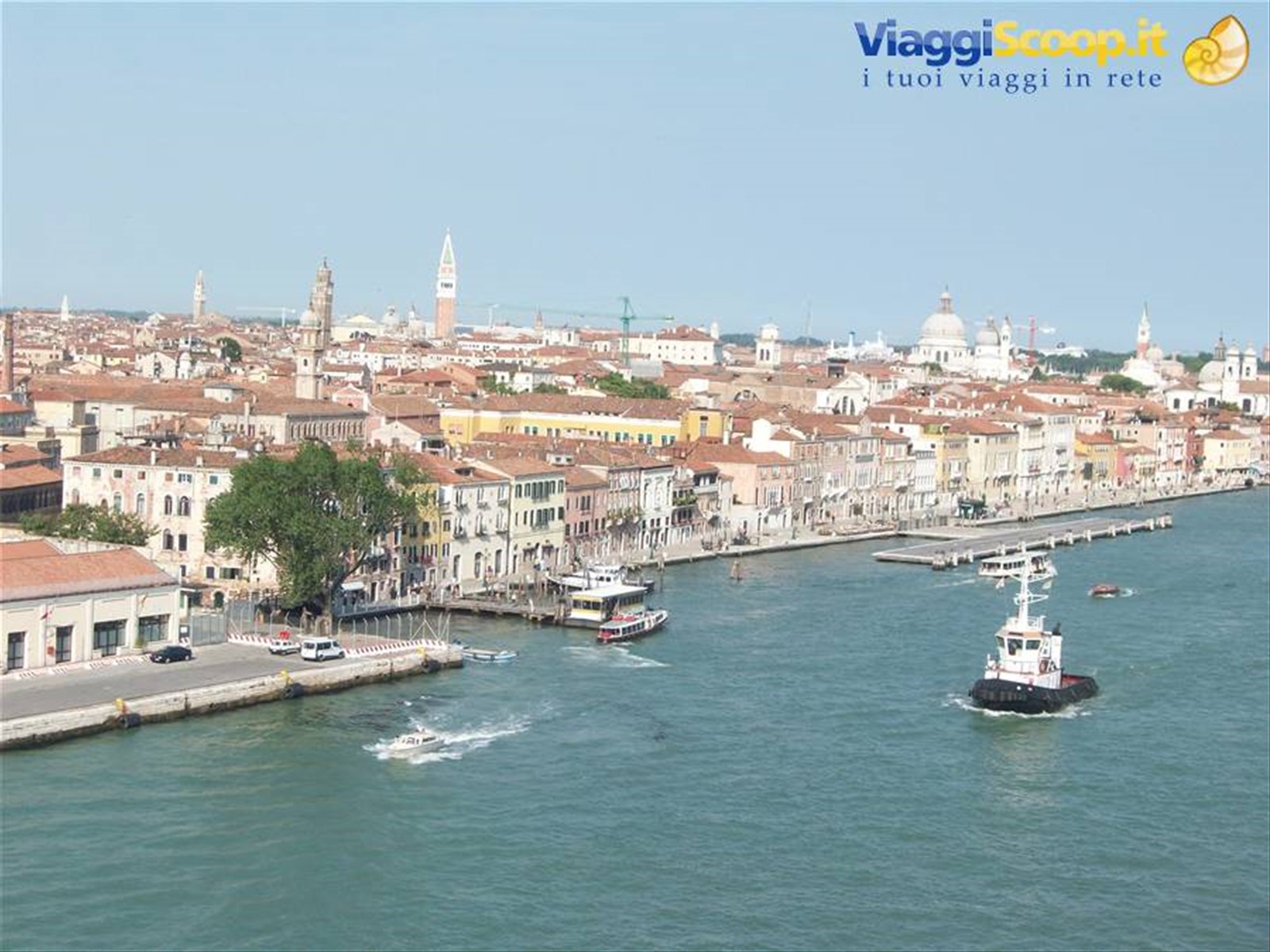 Mitica Venezia
