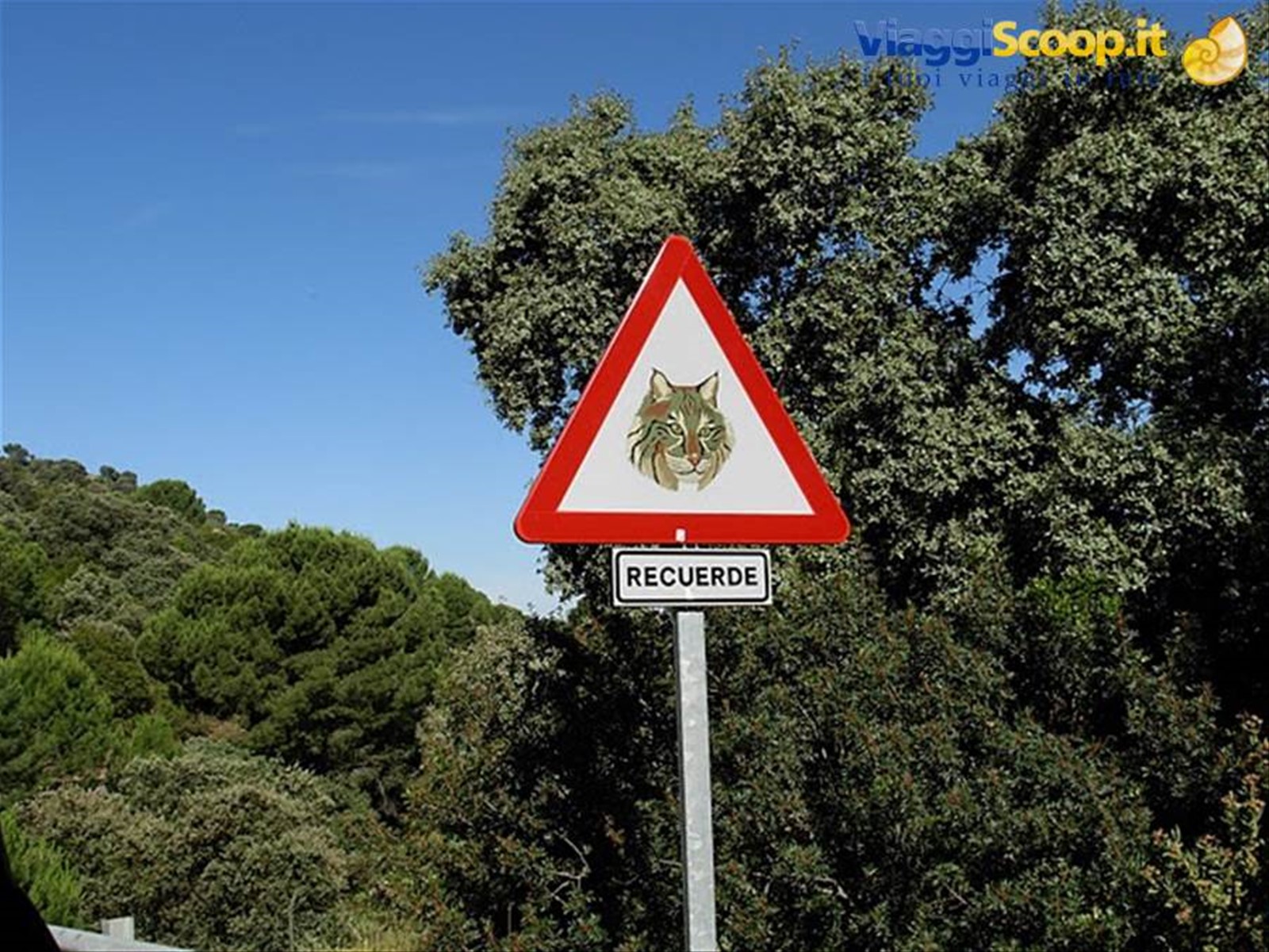 Passaggio linci!