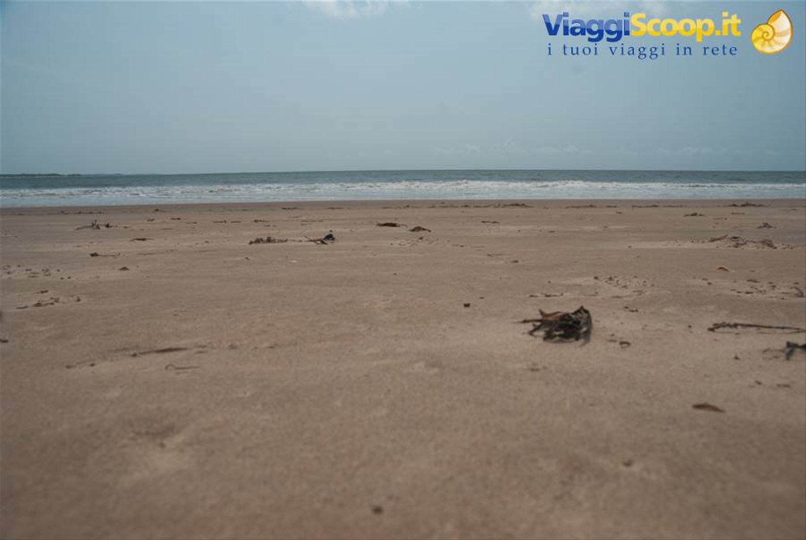 spiaggia dorata