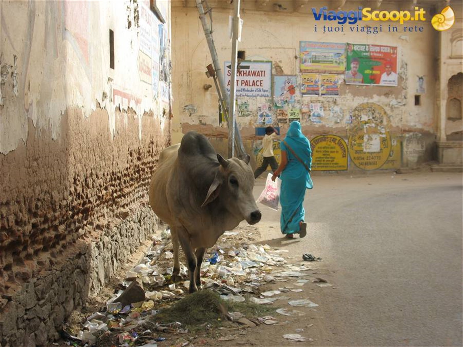 Nawalgarh