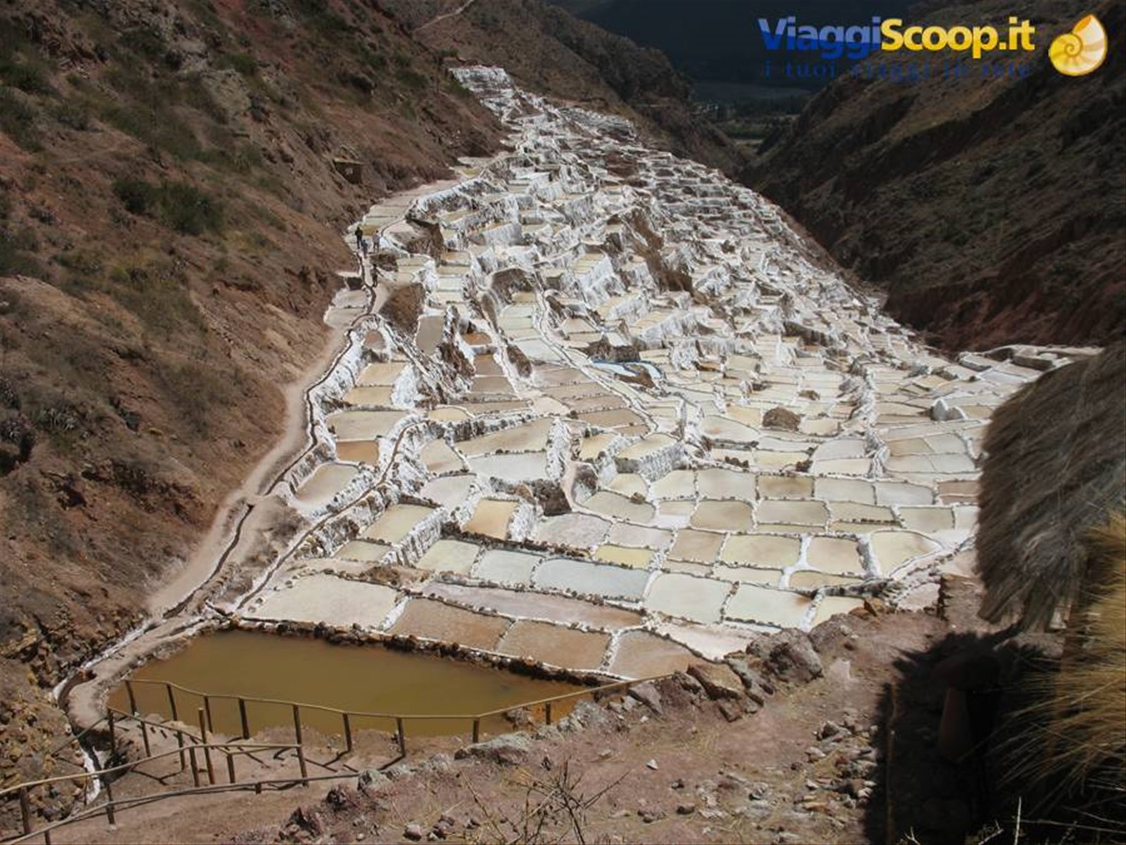 Maras