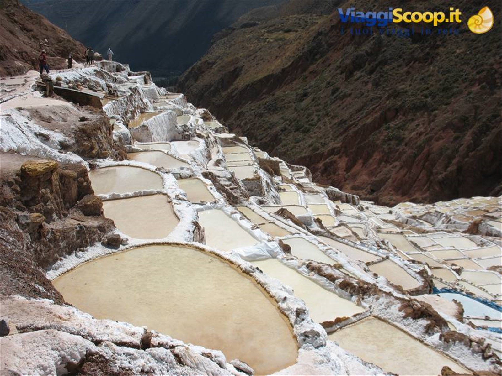 Maras