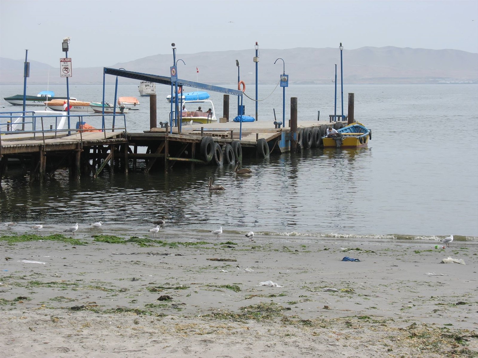 Paracas