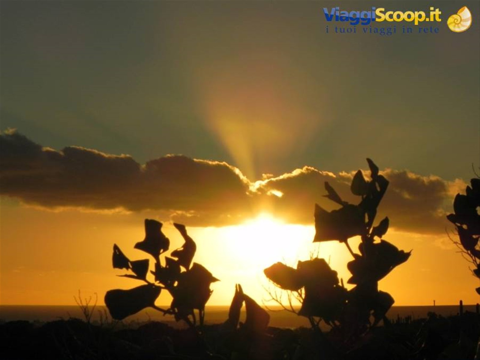 Tramonto a Tenerife