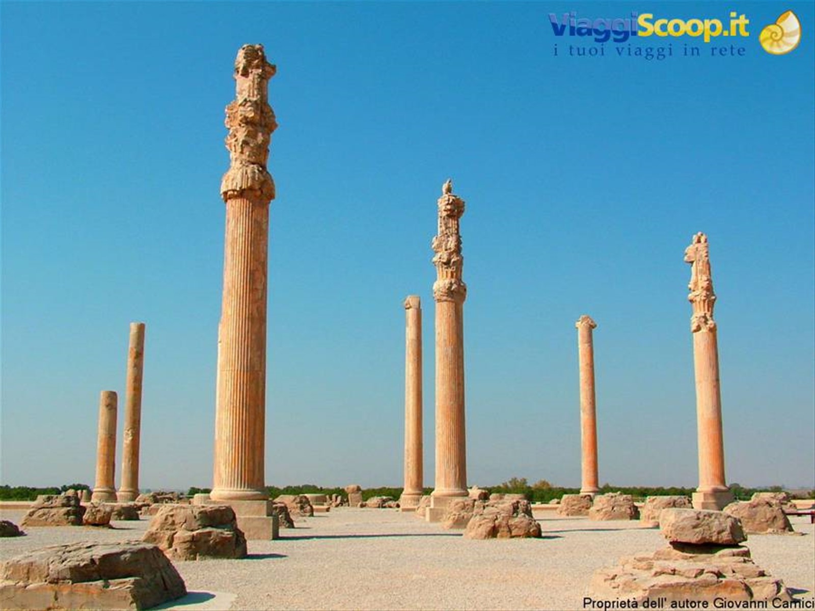 Persepoli-palazzo dell'Apadana