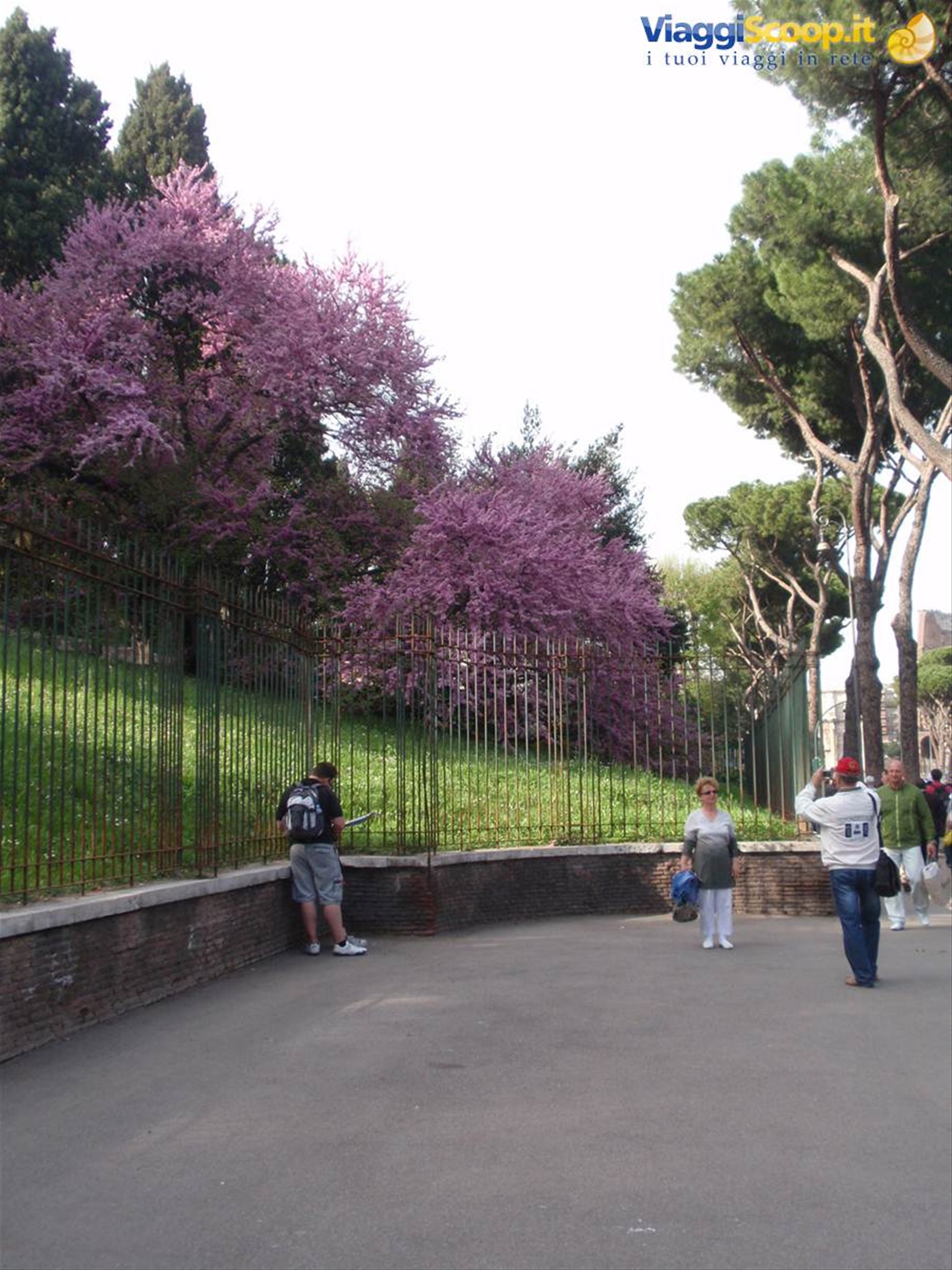 Foto di viaggio in ITALIA
