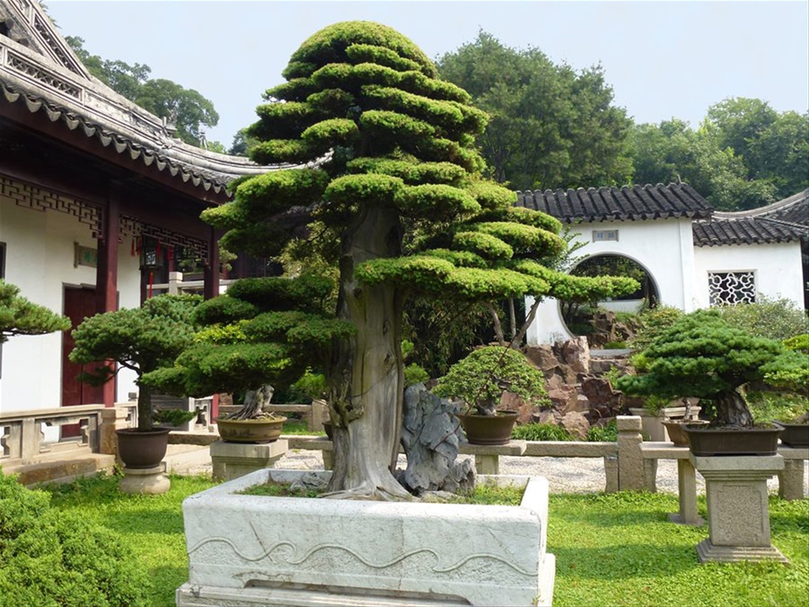 Foto di viaggio in CINA