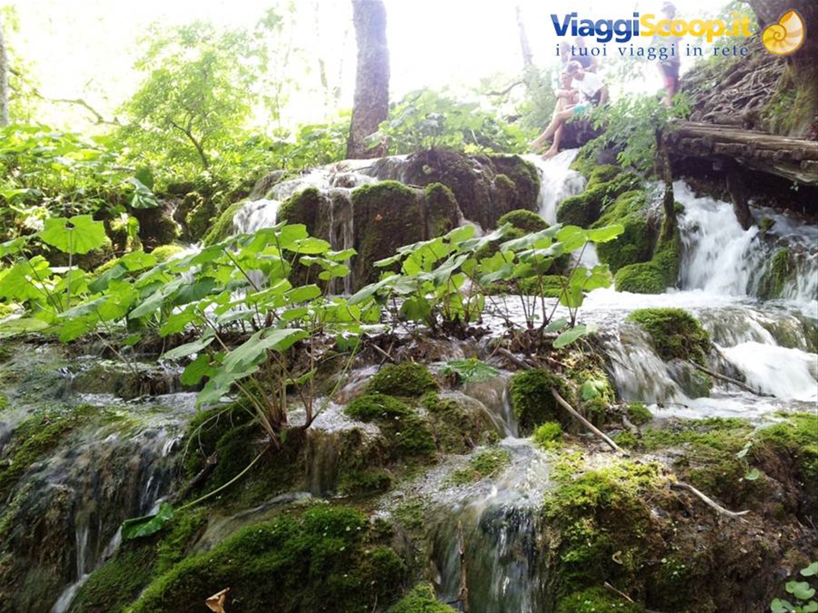 I laghi di Plitvice