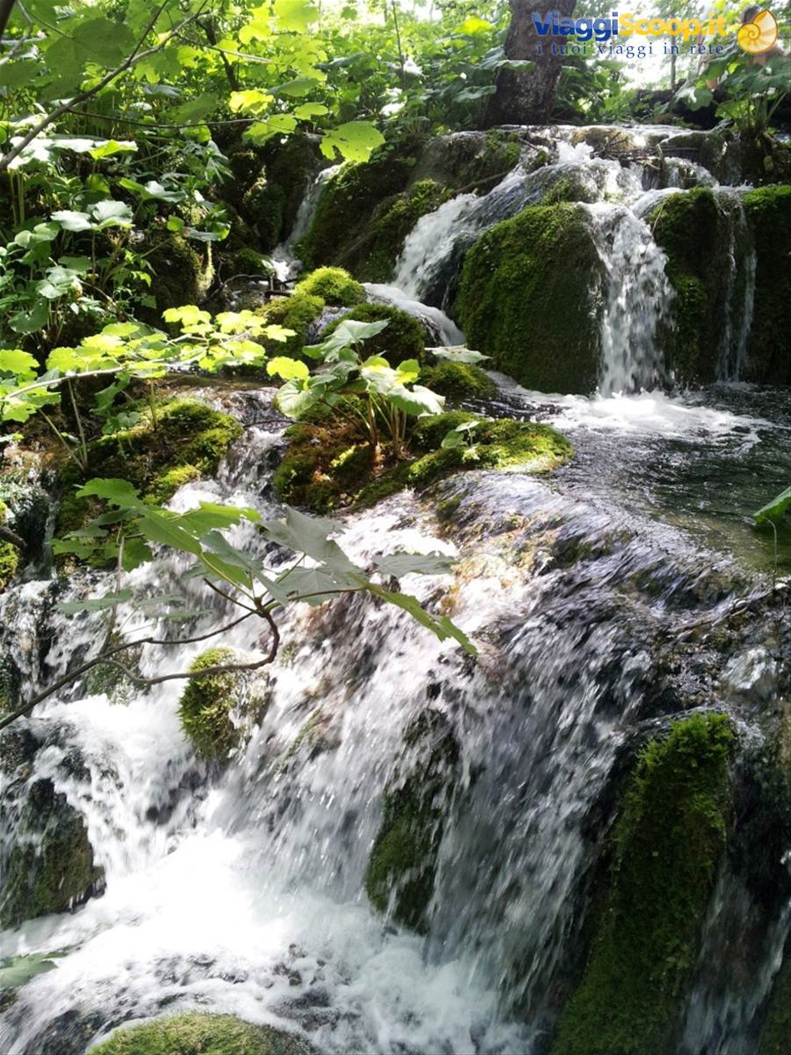 I laghi di Plitvice