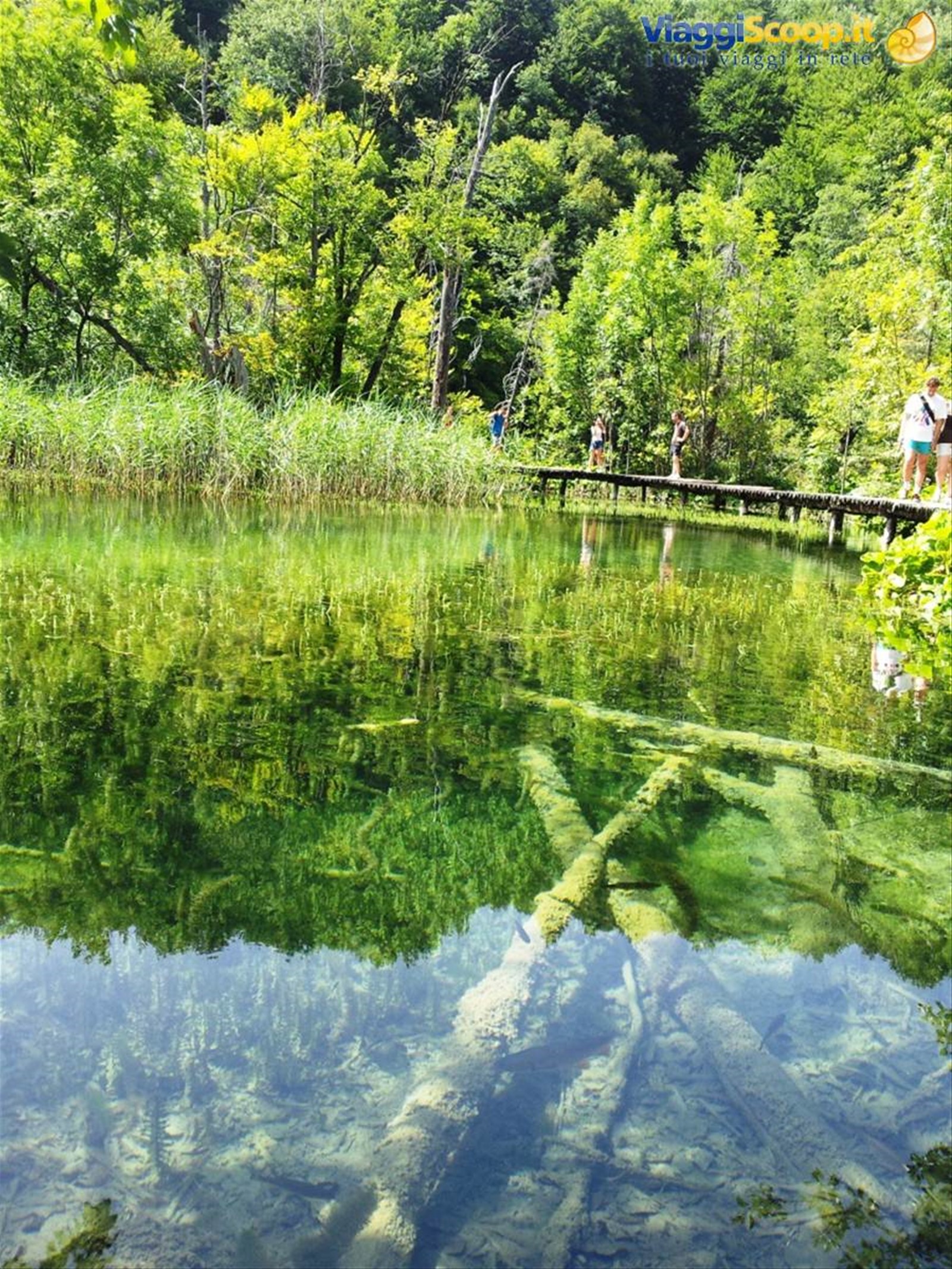 I laghi di Plitvice