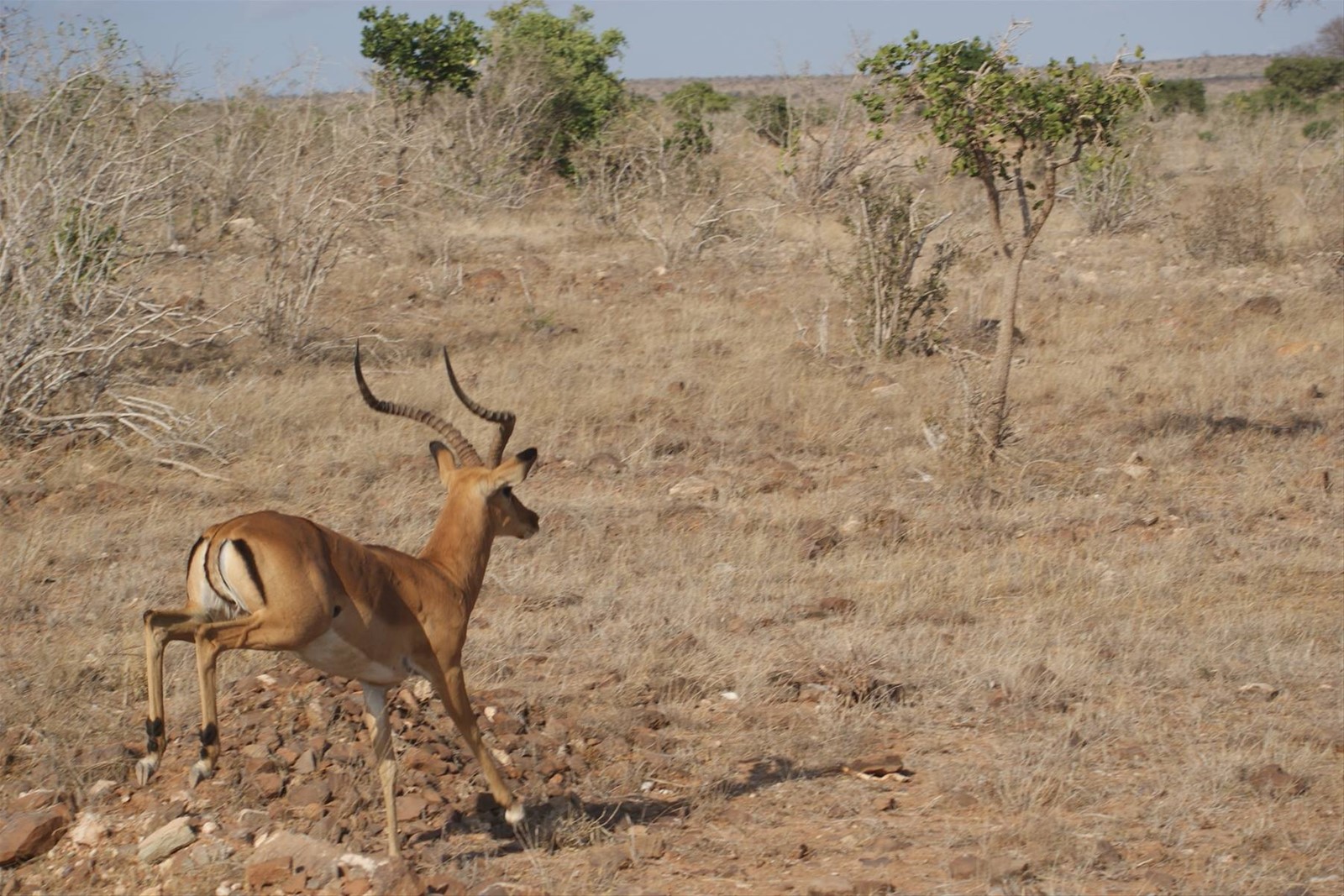 Foto di viaggio in KENYA