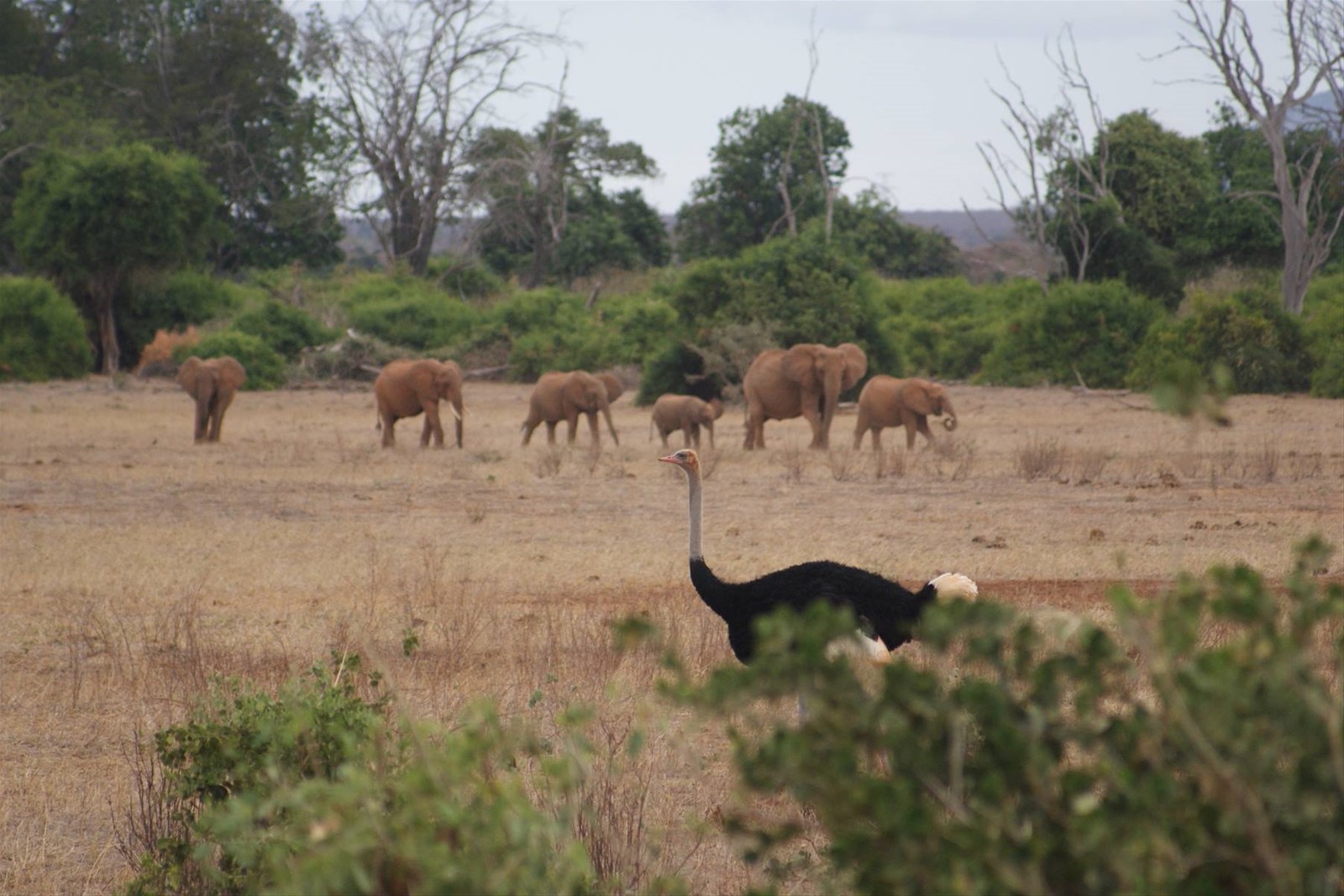 Foto di viaggio in KENYA
