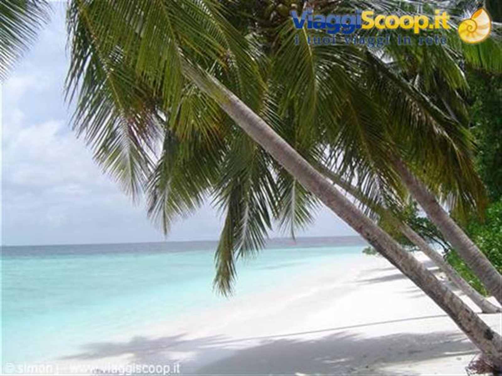 Evviva i tropici!!
