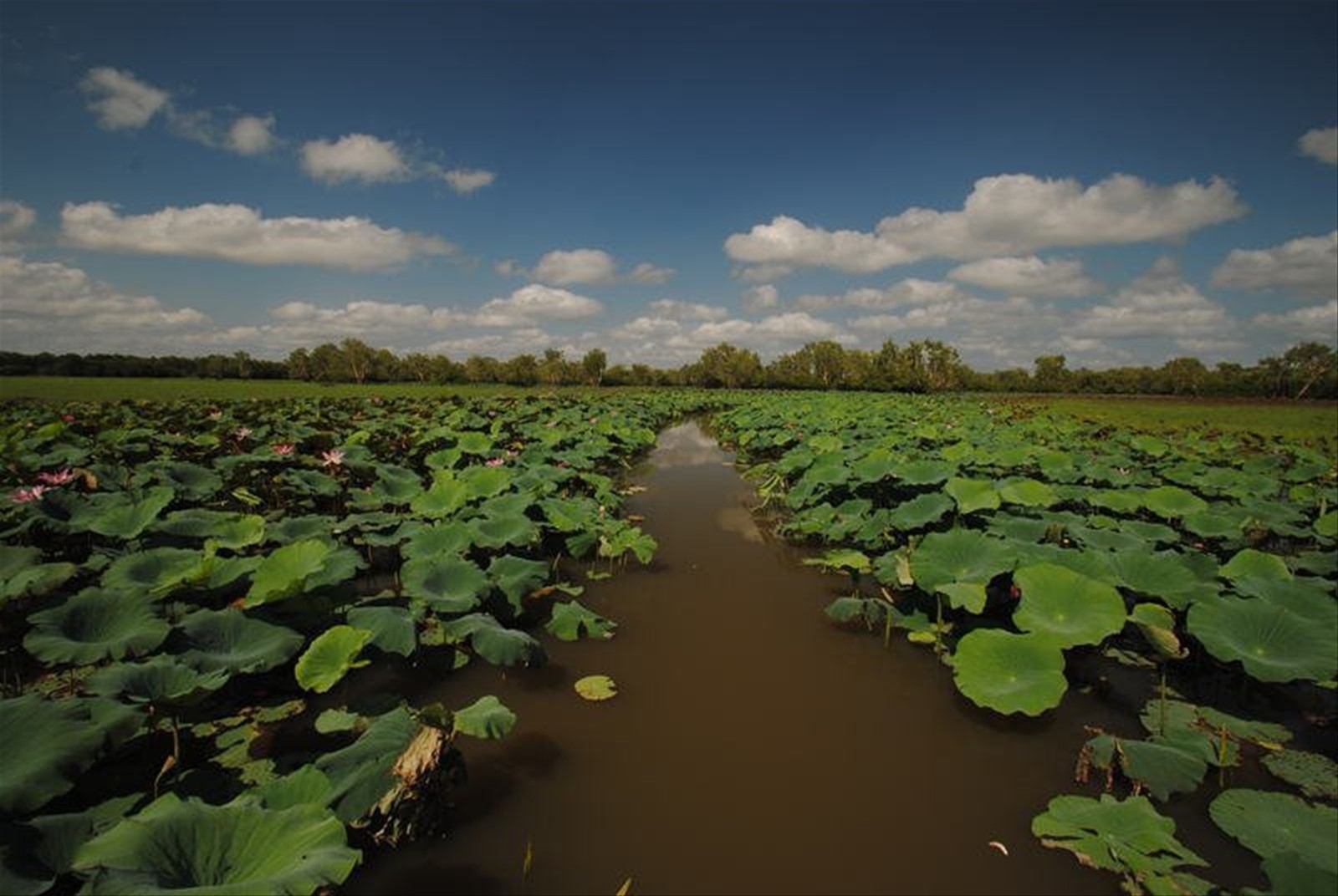Kakadu NAtional Park, Australia