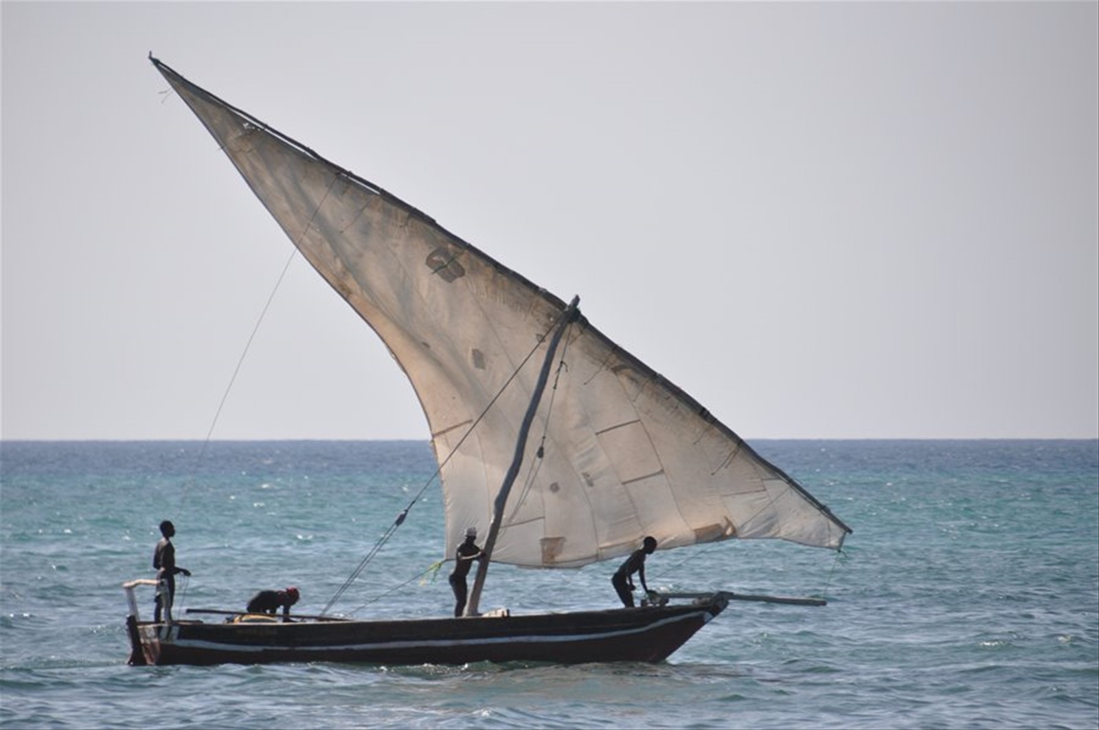Barca zanzibarina
