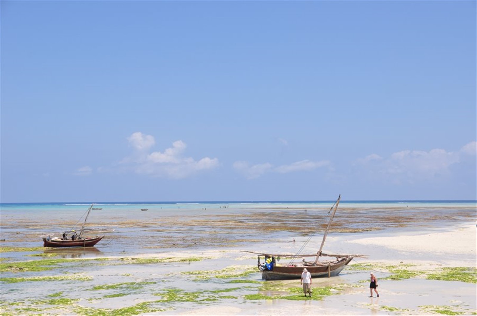 Bassa Marea