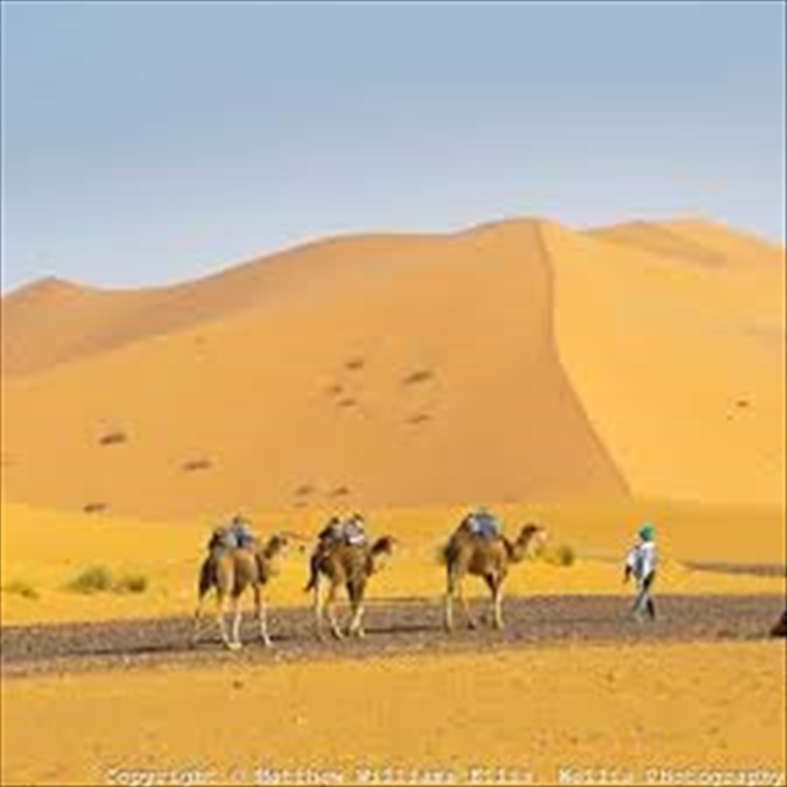 Viaggio Marocco Vacanze In Marocco Excursioni Deserto Marrakech