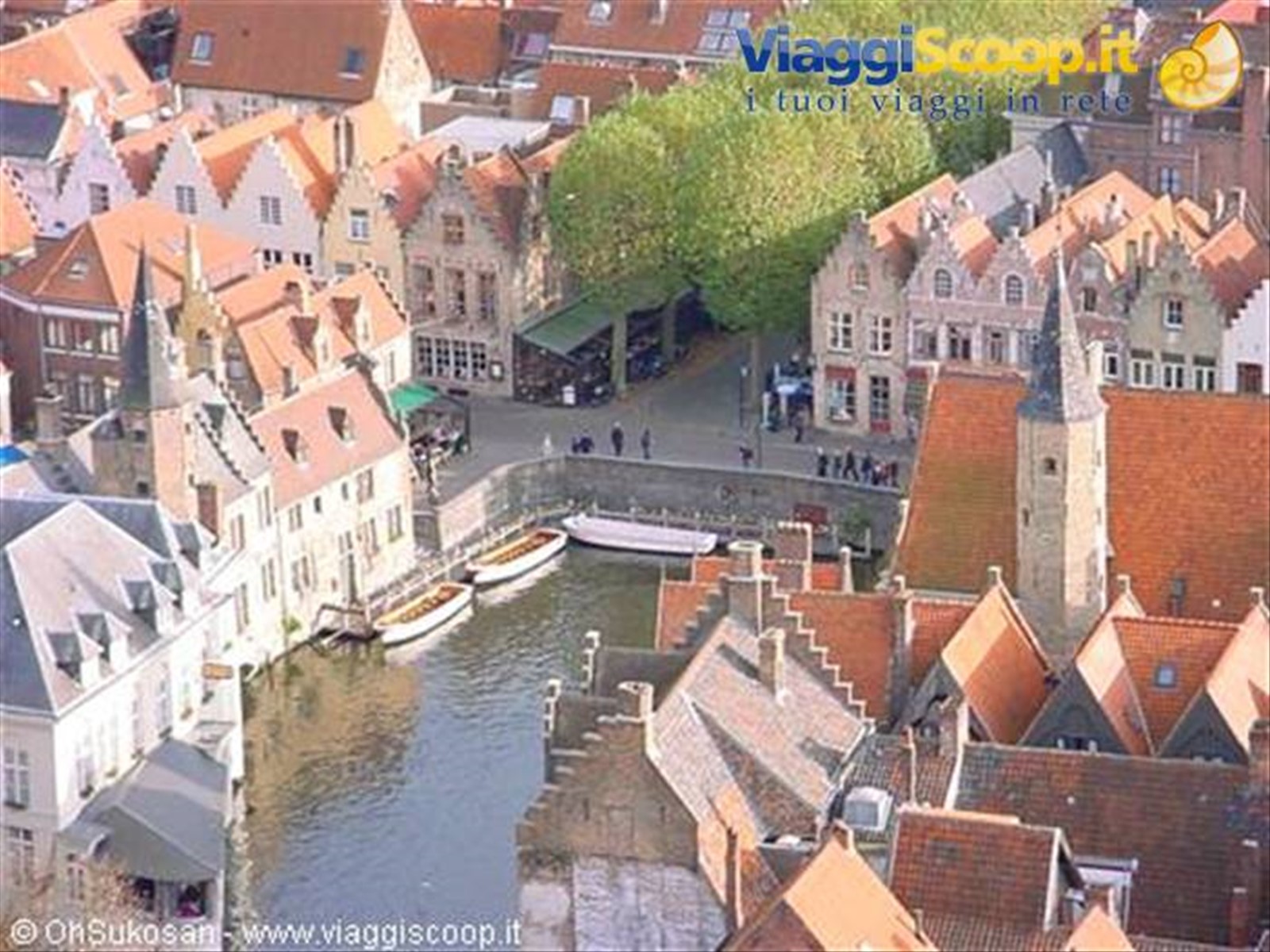 Foto di viaggio in BELGIO