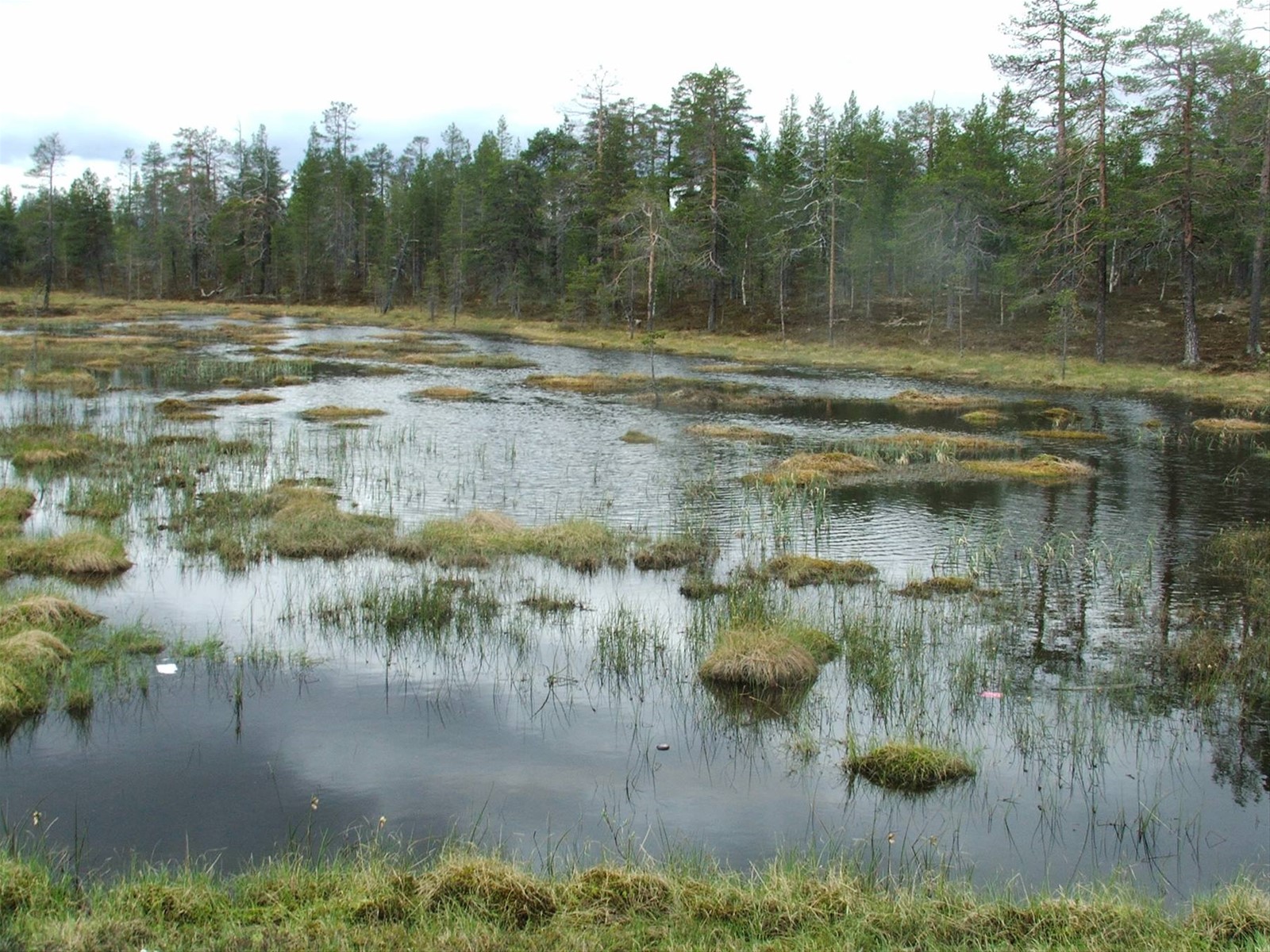 Acqua e terra.