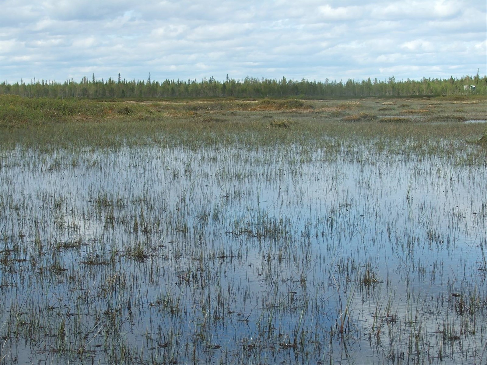 Acqua e terra.