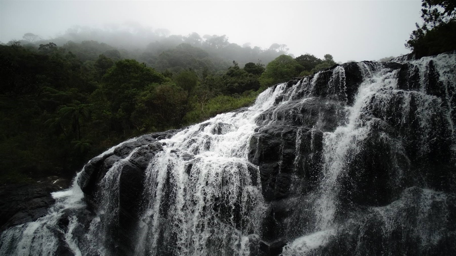 Horton plains