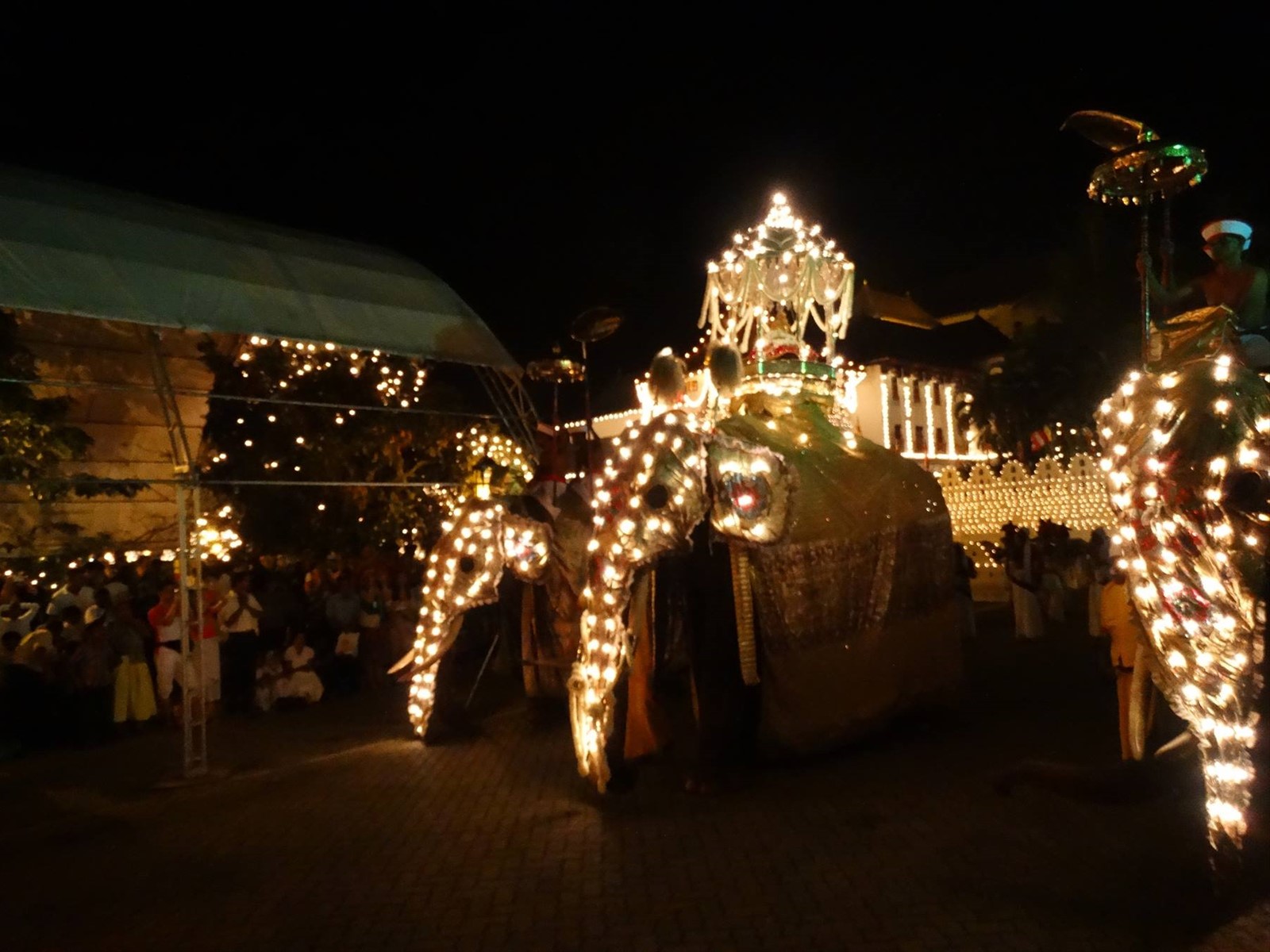 Kandy, Perahera