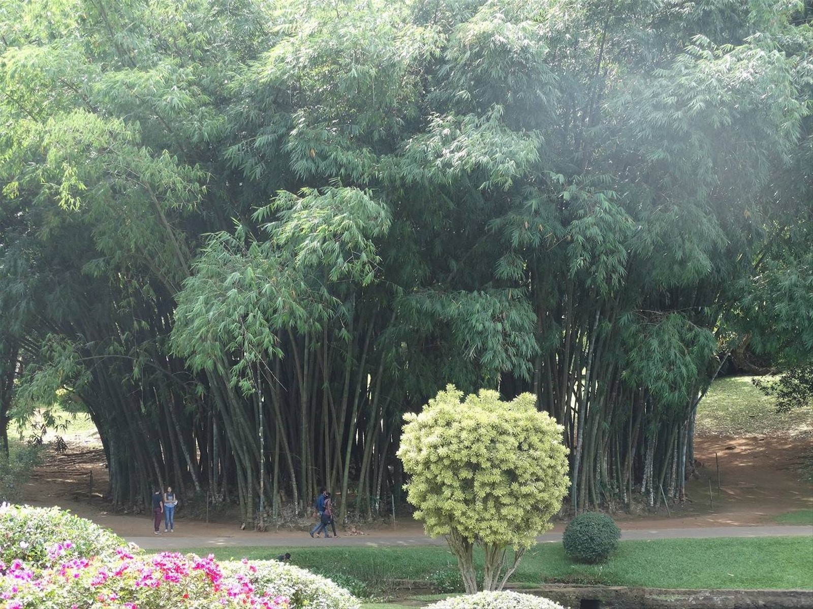 Kandy, orto botanico