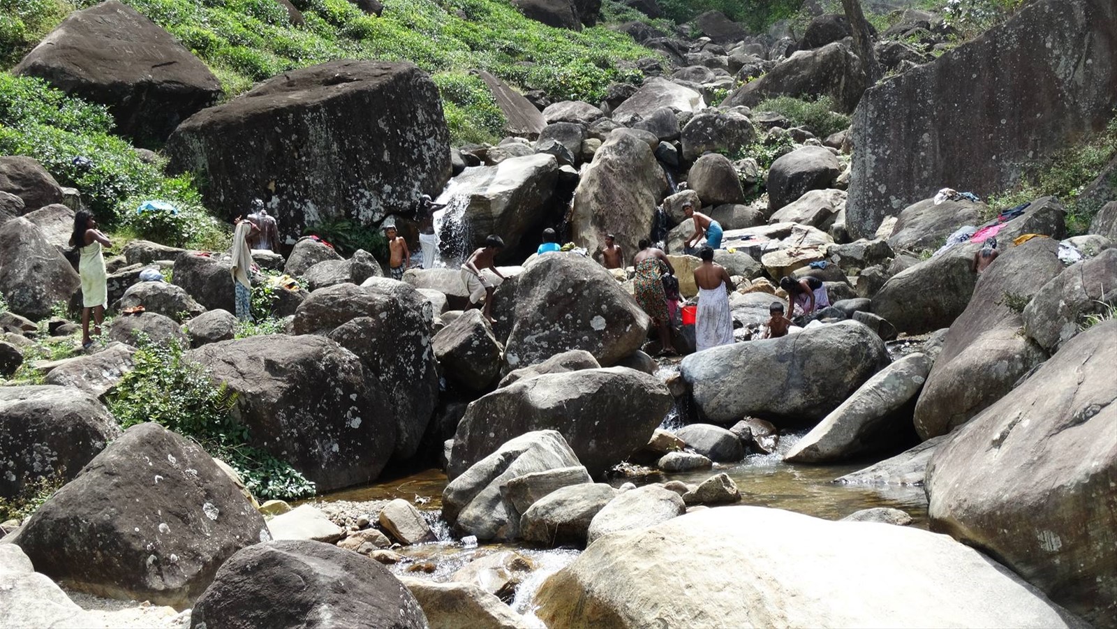 Monti Knuckles