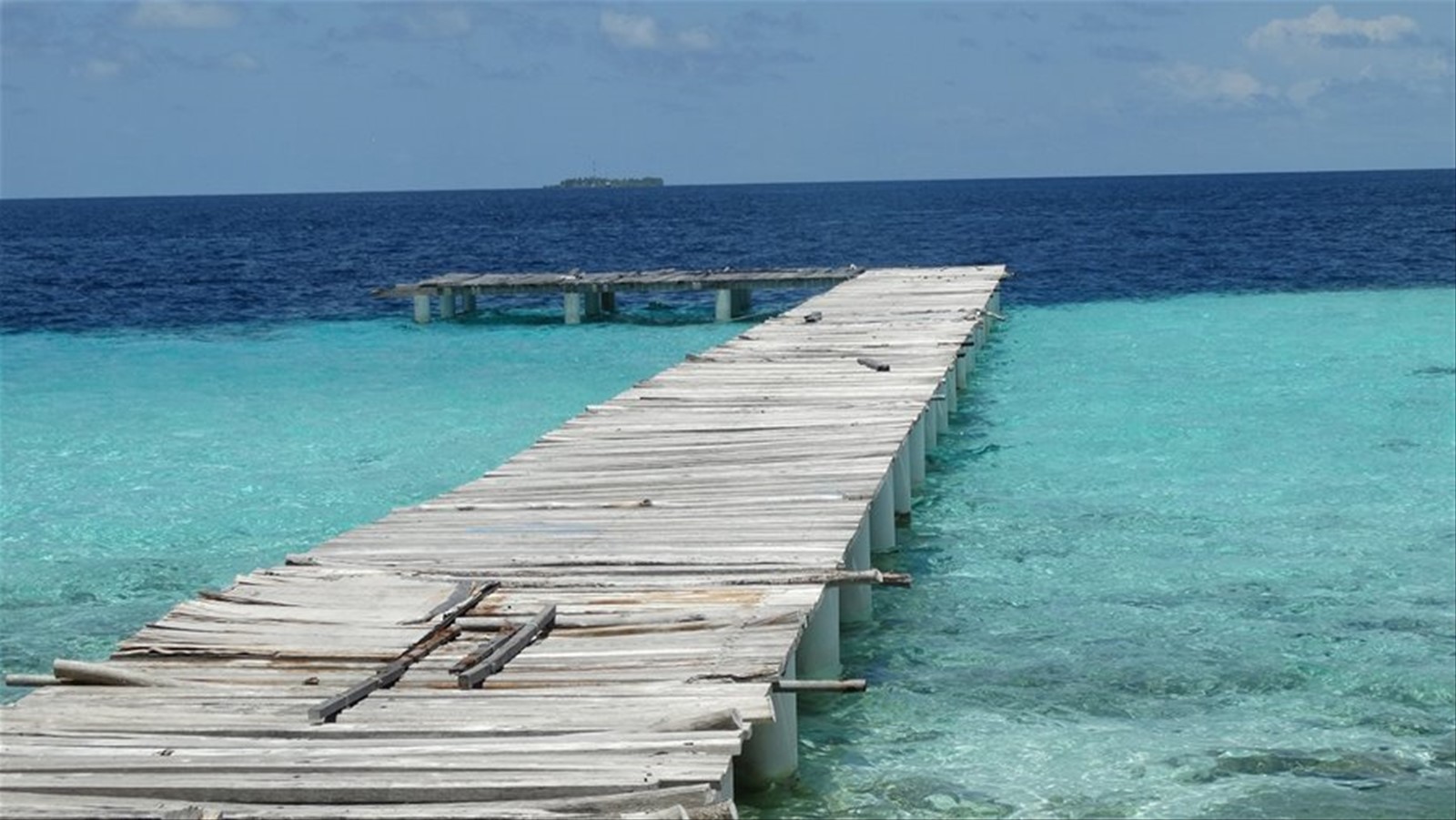 MaldiVE-VEre