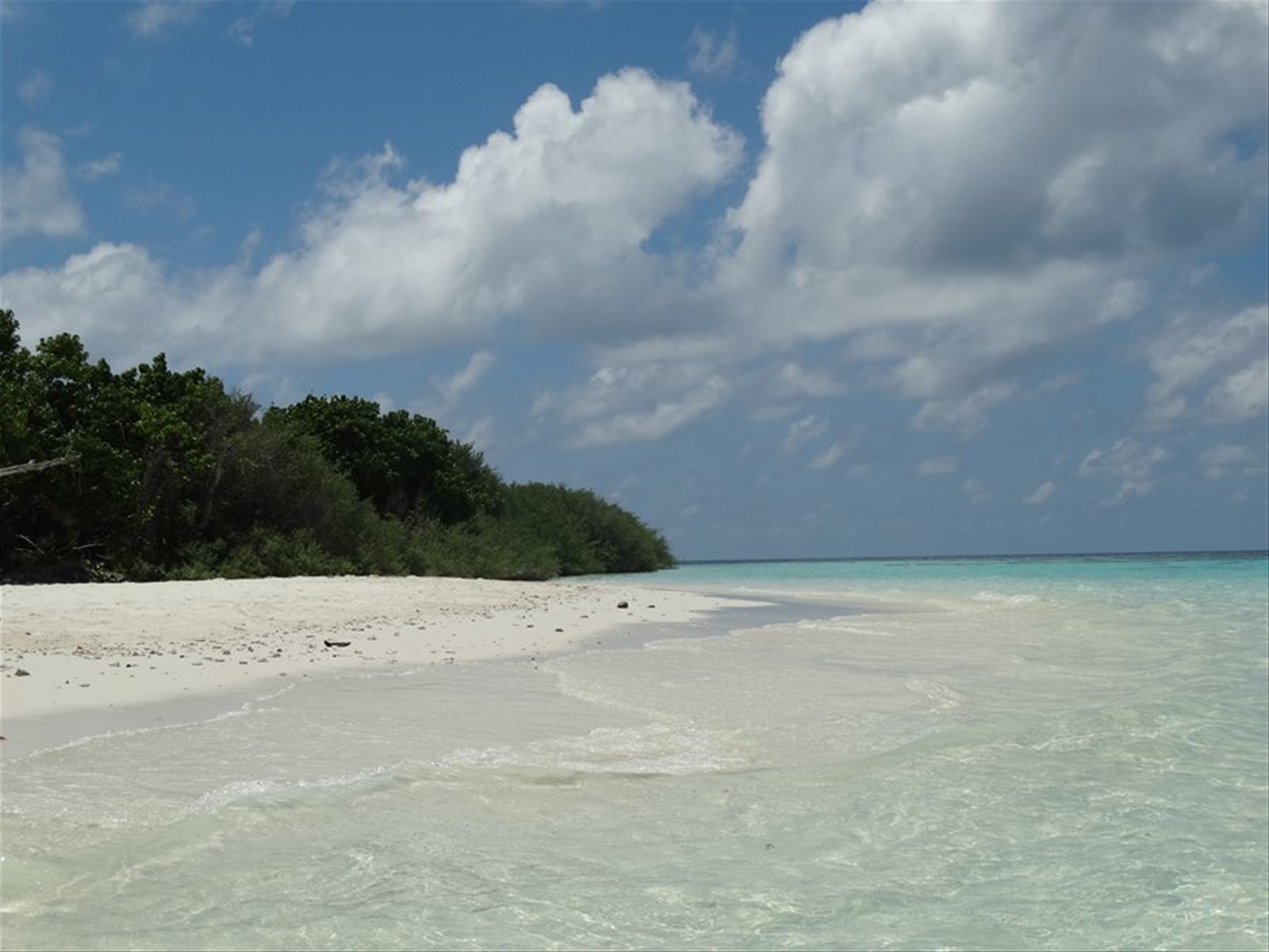 Foto di viaggio in MALDIVE