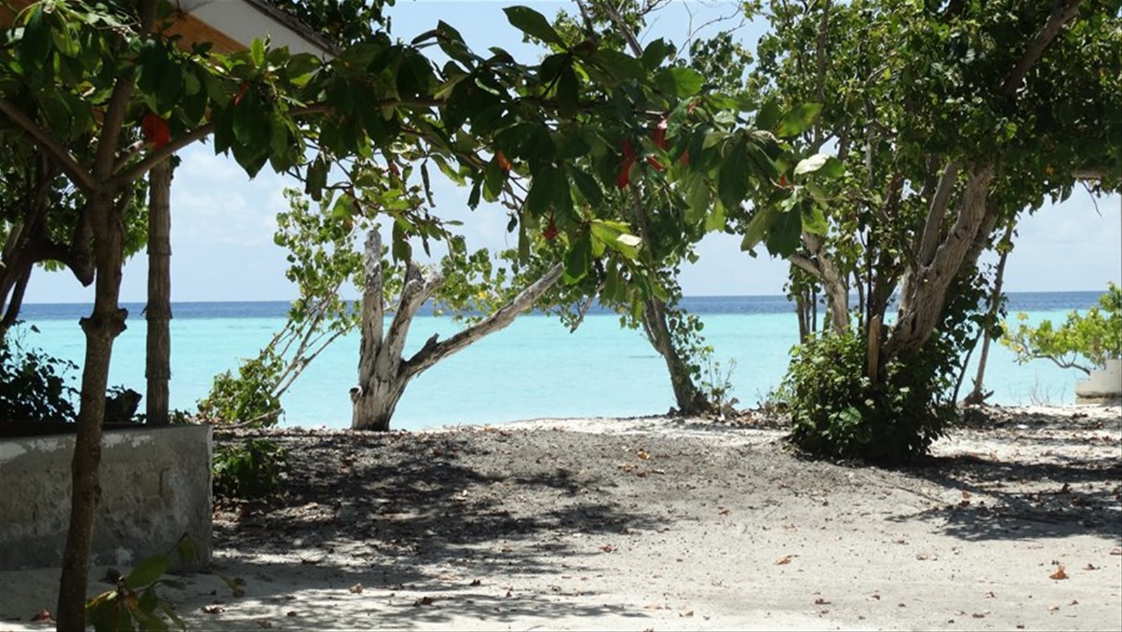 Foto di viaggio in MALDIVE