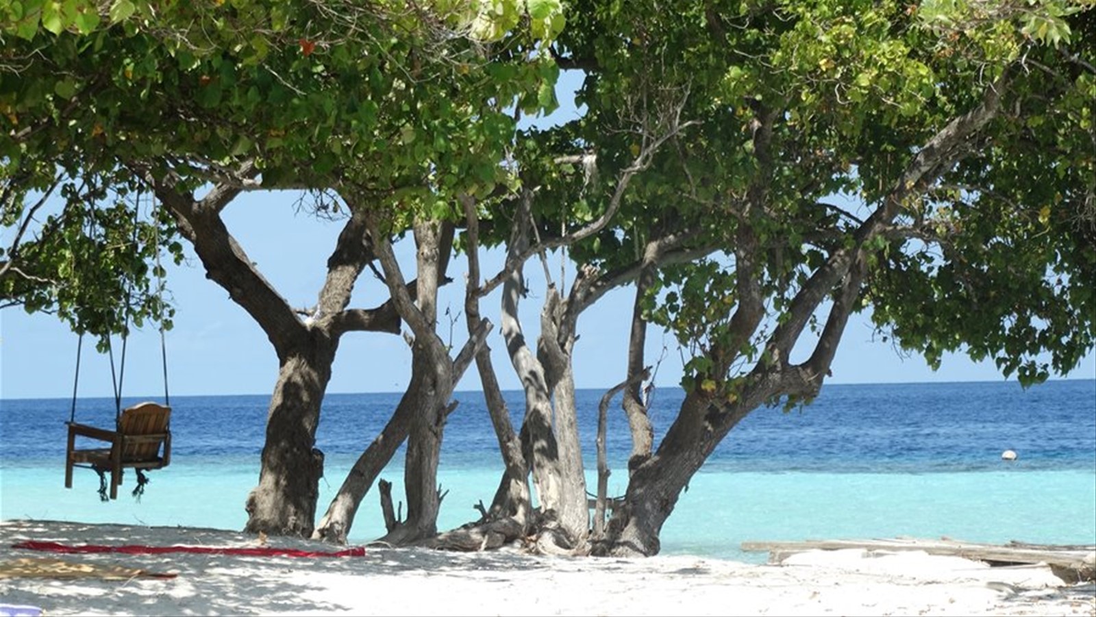 Foto di viaggio in MALDIVE