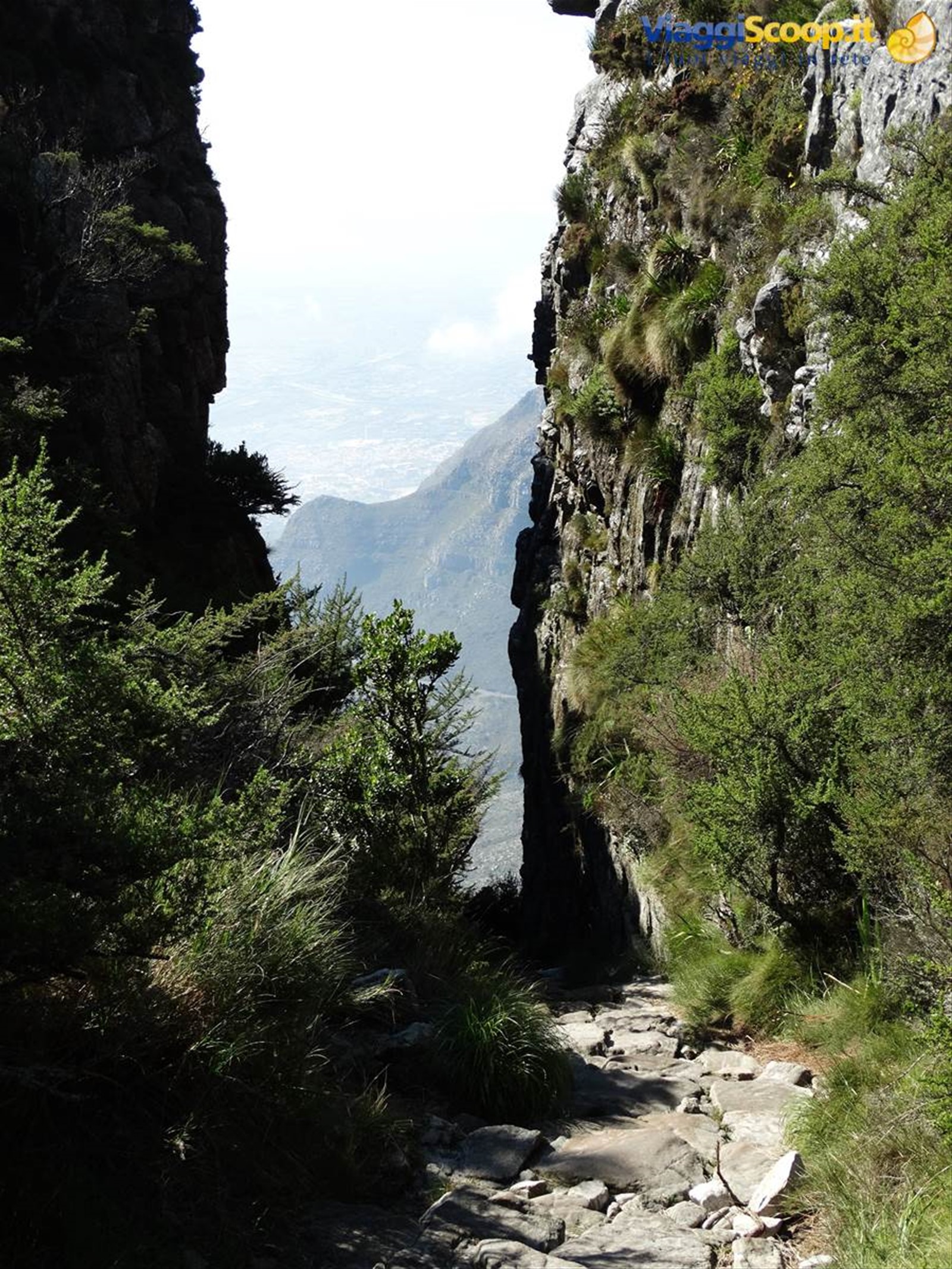 Sulla Table Mountain