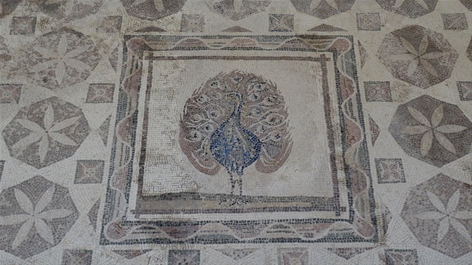 Kato Paphos