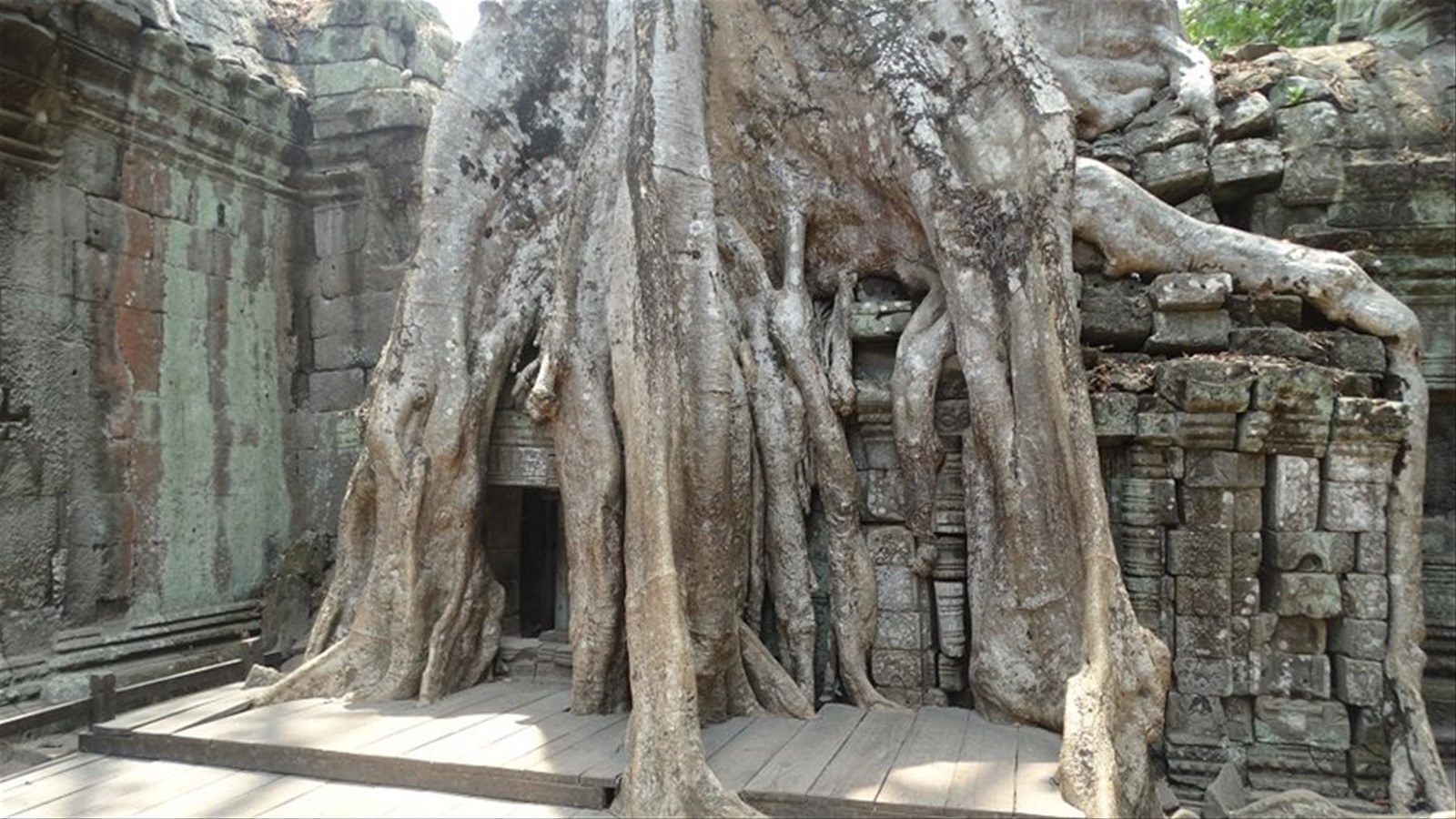 Foto di viaggio in CAMBOGIA