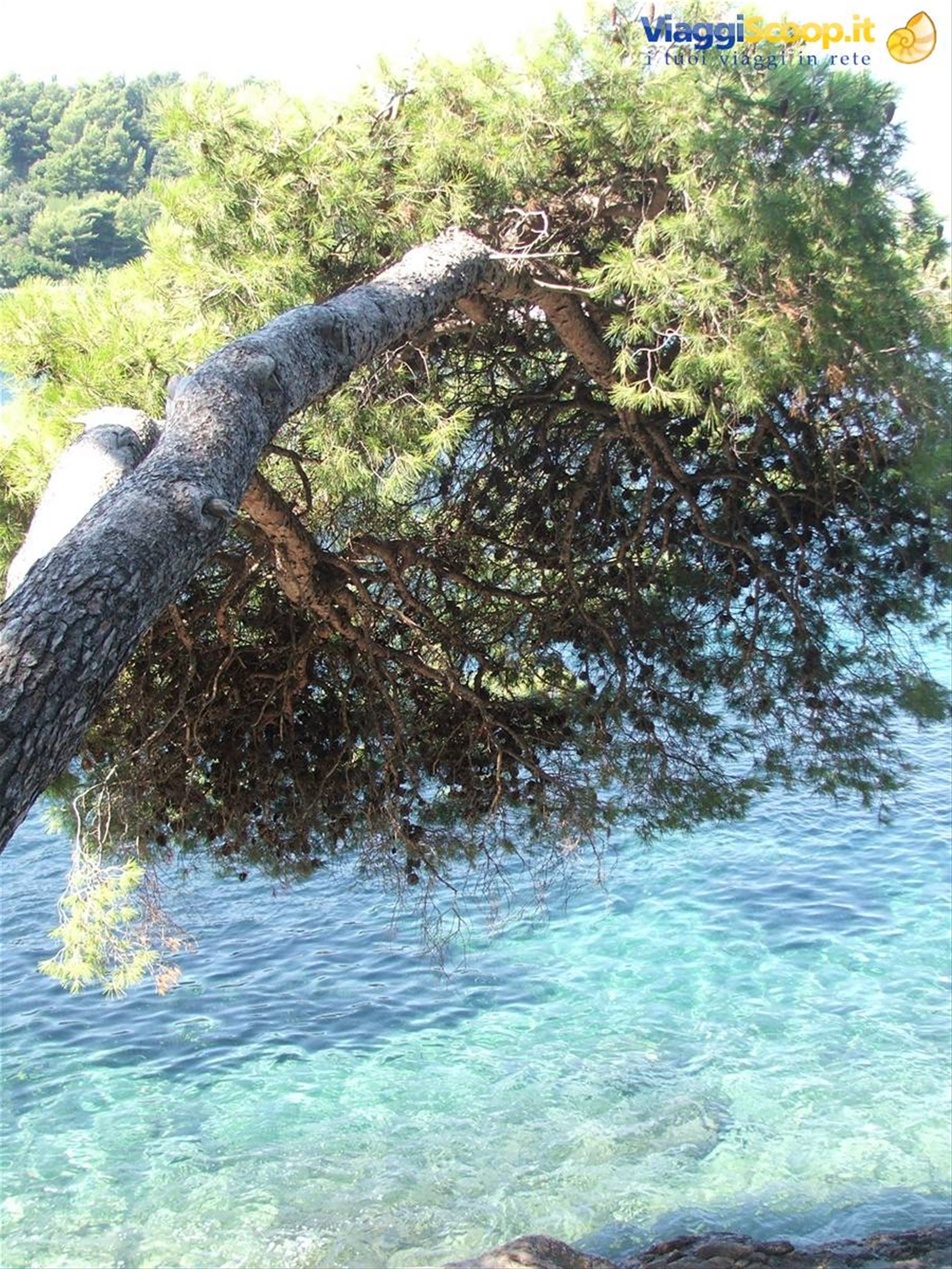 mare incredibile