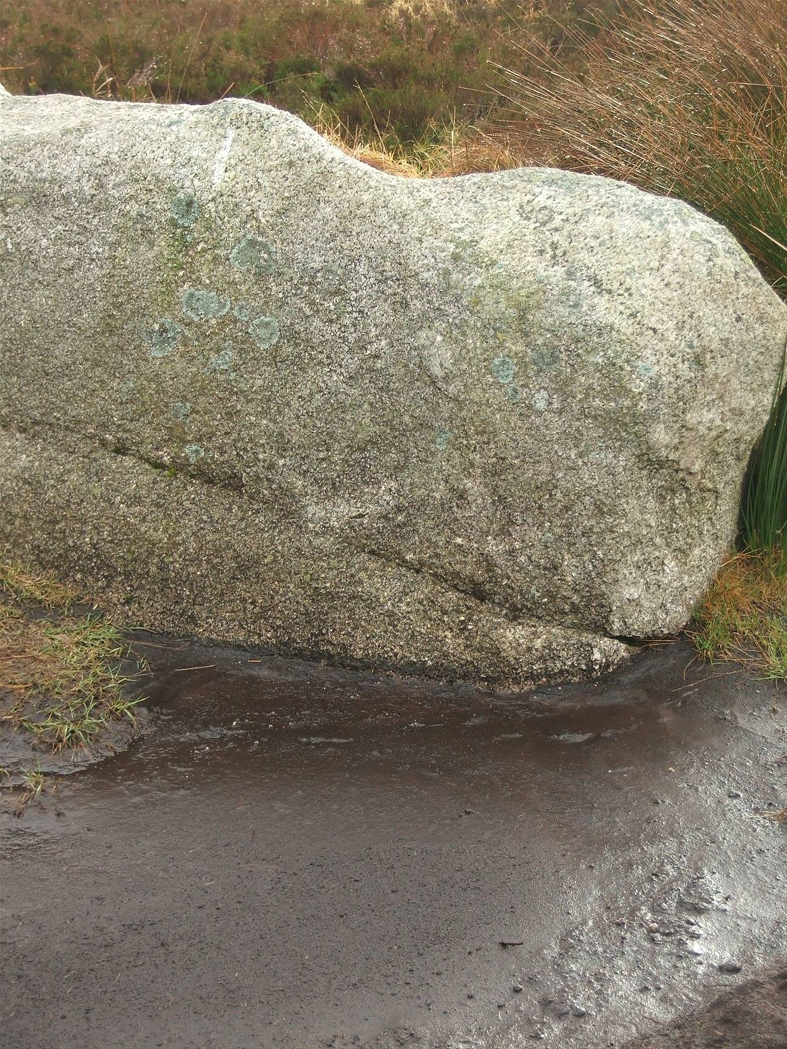 Wicklow Hills,torba