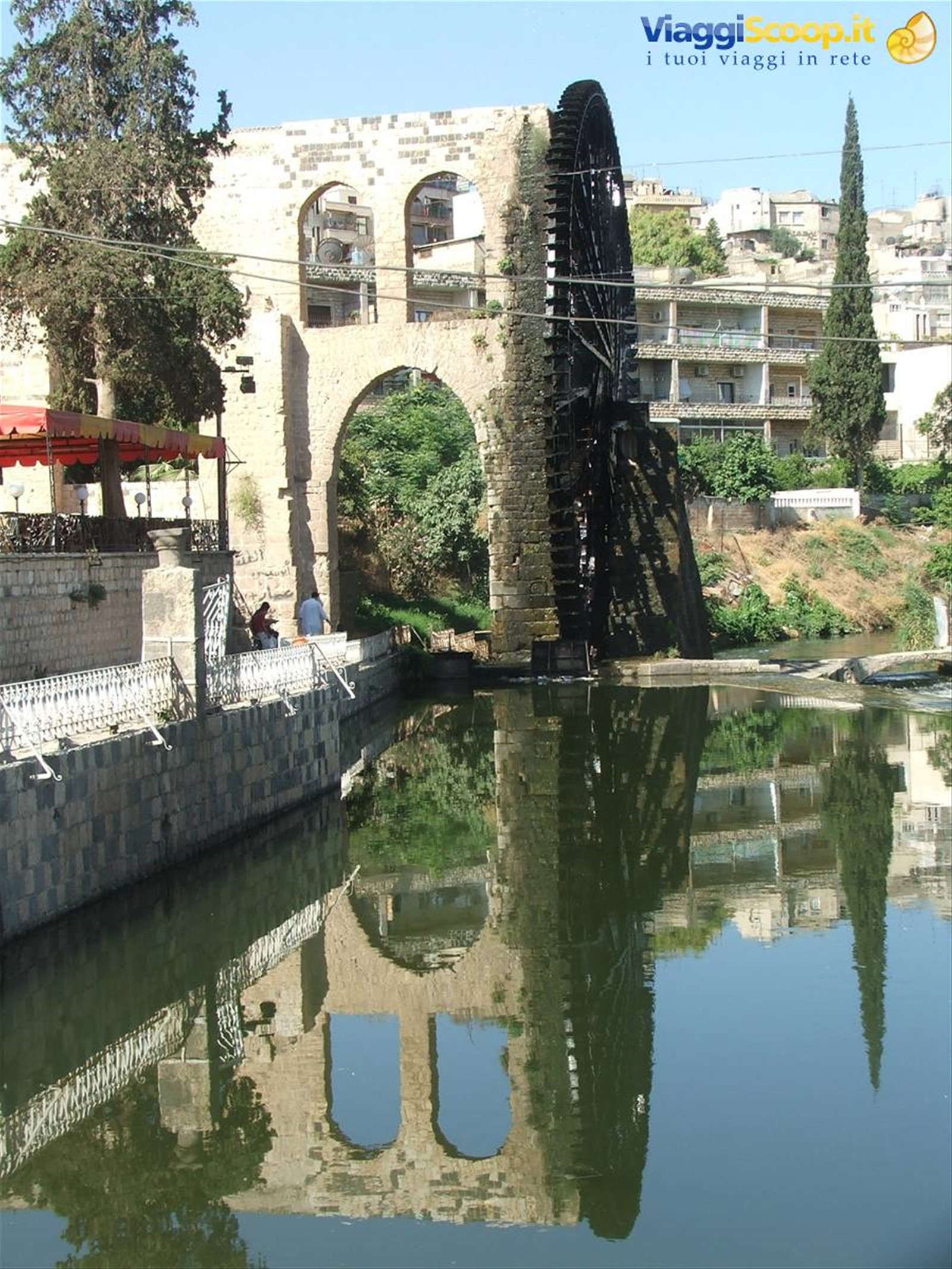 Hama