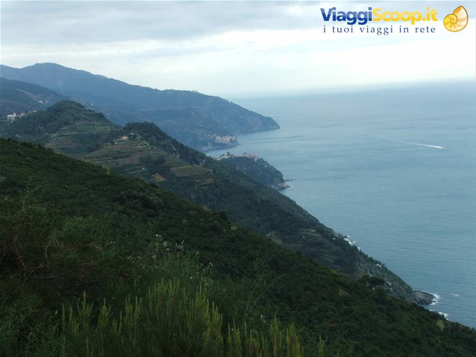 ...panorama da un sentiero..........