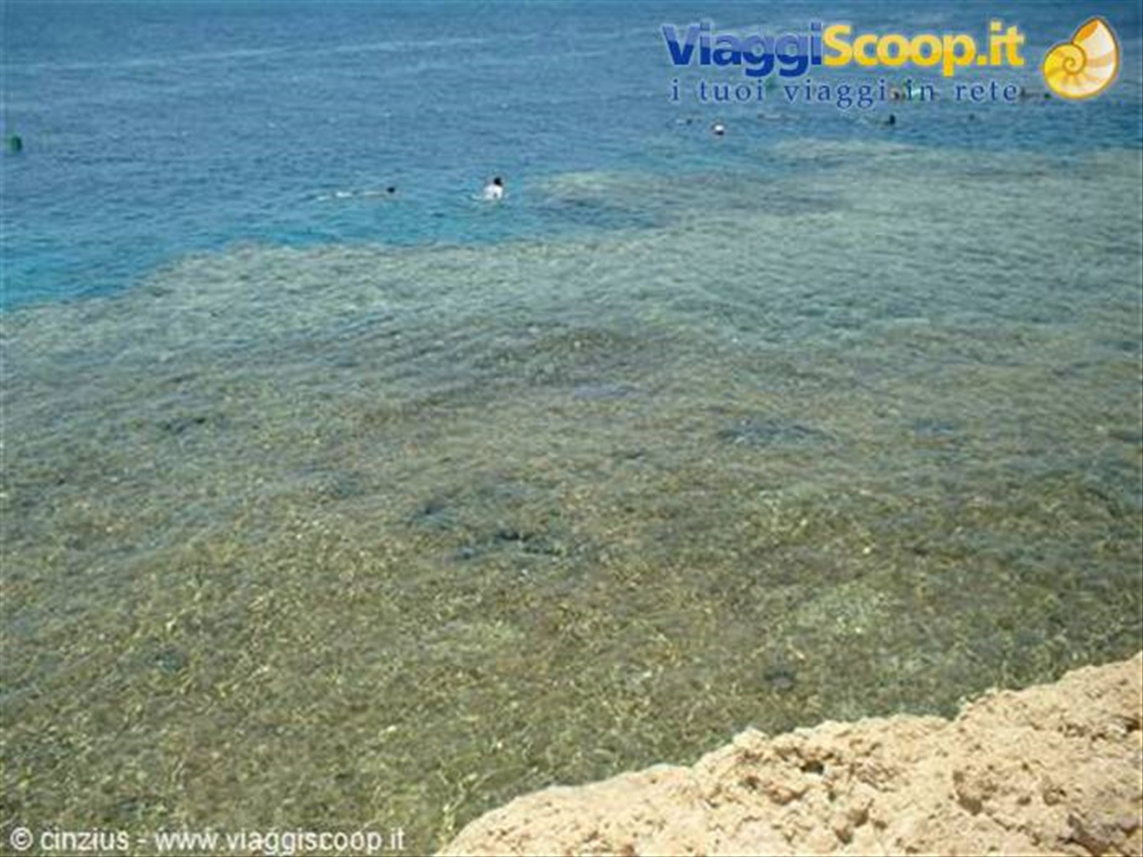 Barriera corallina