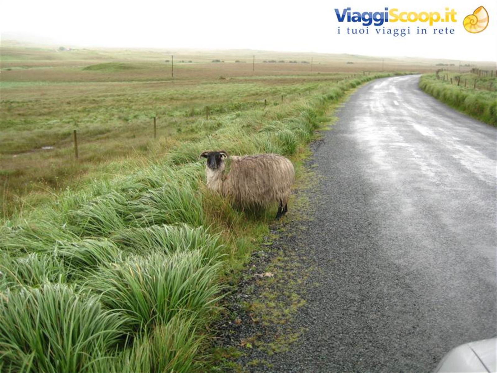Connemara