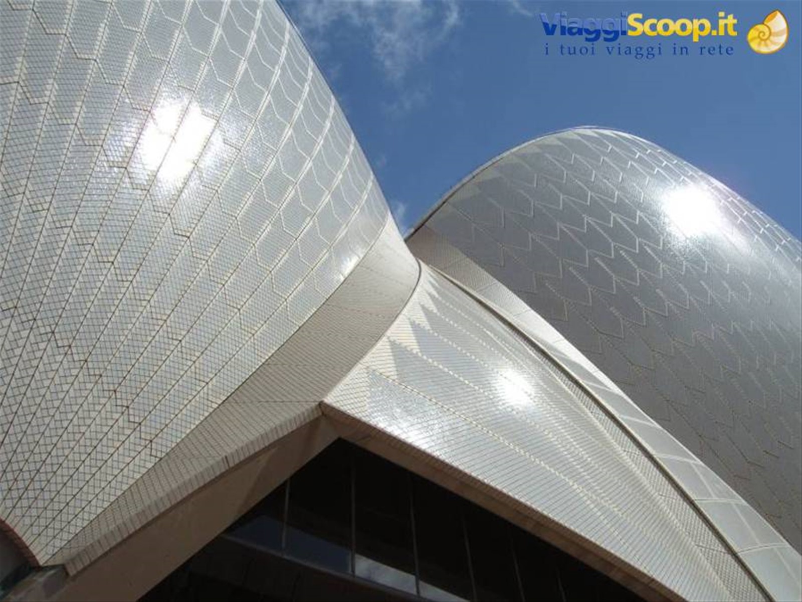 Sidney: Particolare copertura Opera House